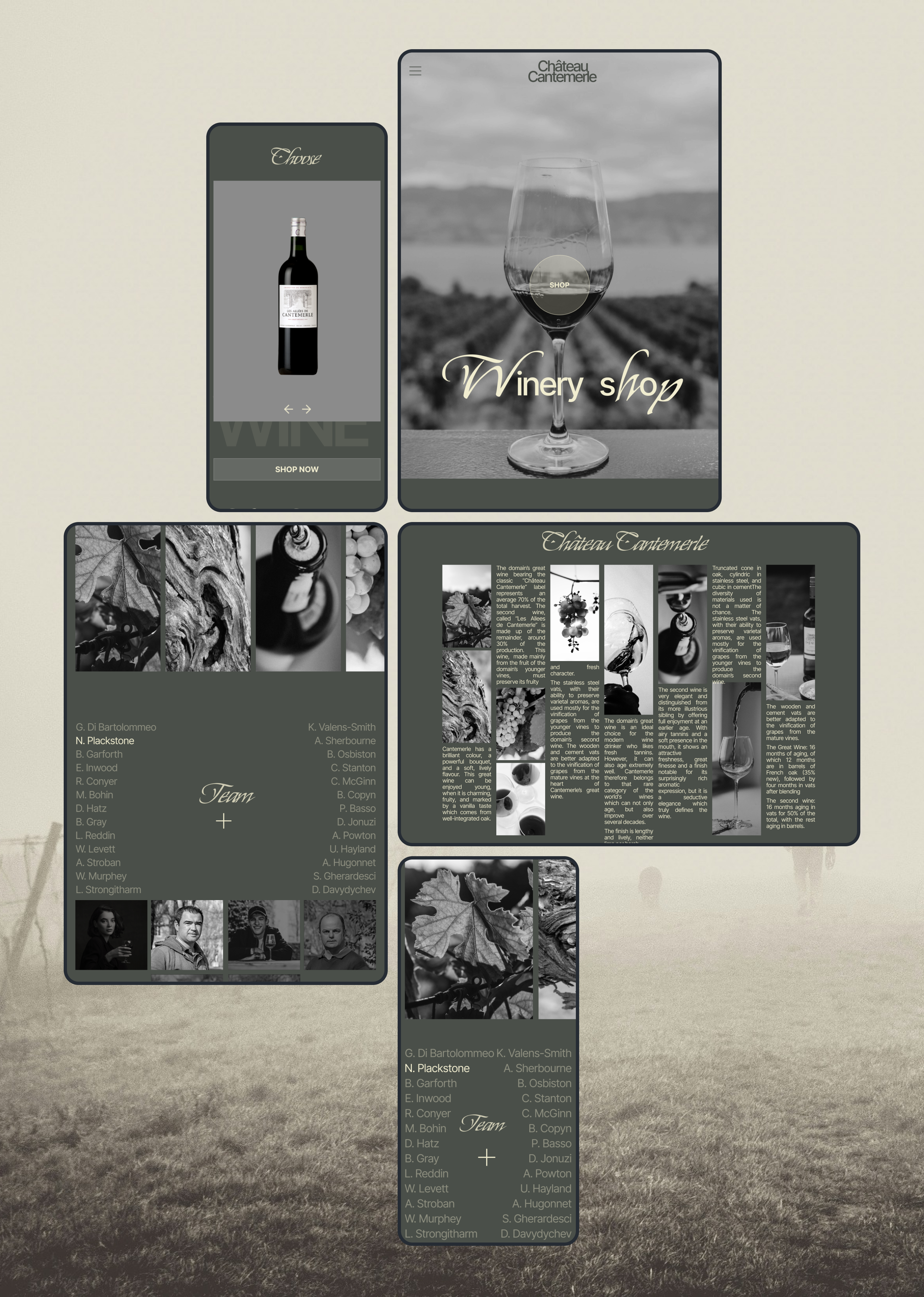 Château Cantemerle | Corporate Website Redesign — Изображение №6 — Интерфейсы на Dprofile