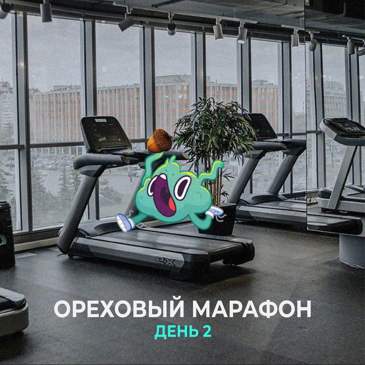 Всероссийский студенческий проект "Твой Ход" — Изображение №66 — Брендинг, Маркетинг на Dprofile