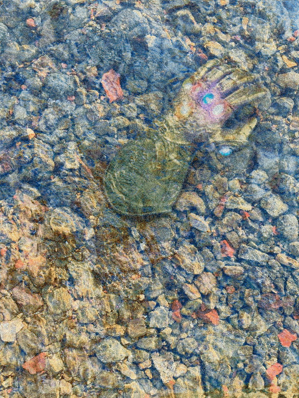 Project Artefacts — Изображение №3 — Иллюстрация, Графика на Dprofile