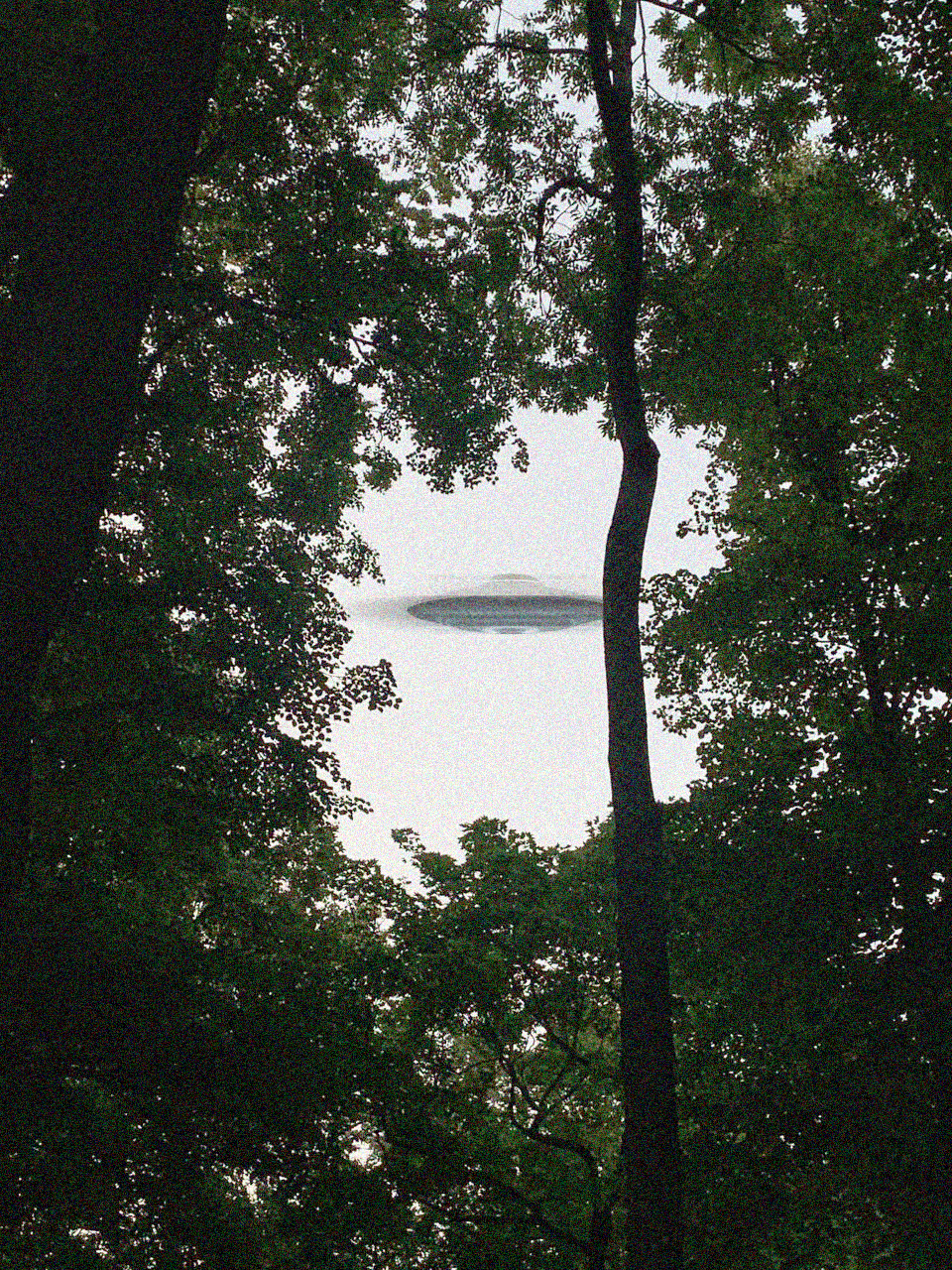 Project Artefacts — Изображение №6 — Иллюстрация, Графика на Dprofile