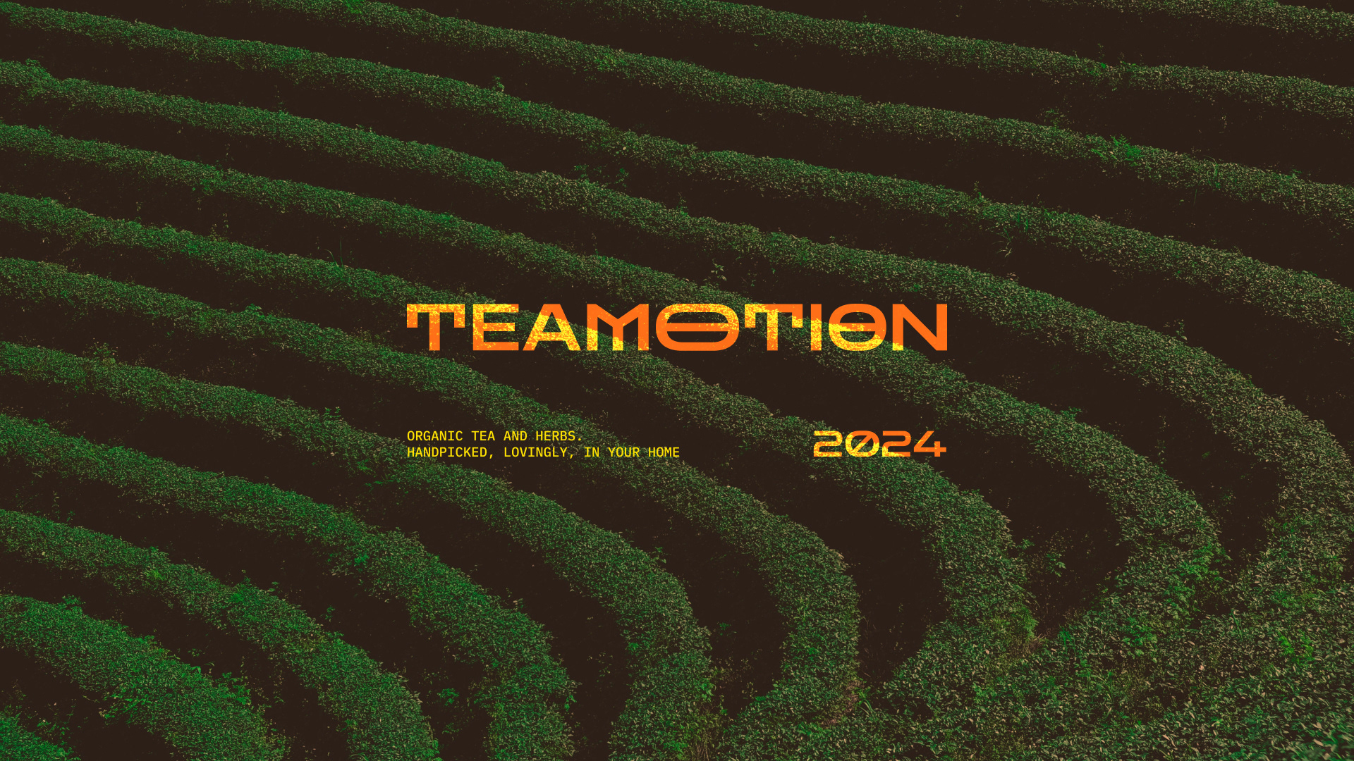 Айдентика для магазина чая | TEAMOTION — Изображение №1 — Брендинг, Иллюстрация на Dprofile