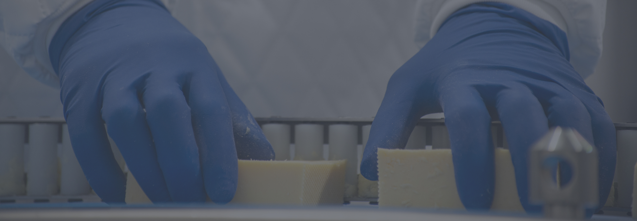 Moloko.group — корпоративный сайт для ГК «Молоко» — Изображение №5 — Интерфейсы на Dprofile