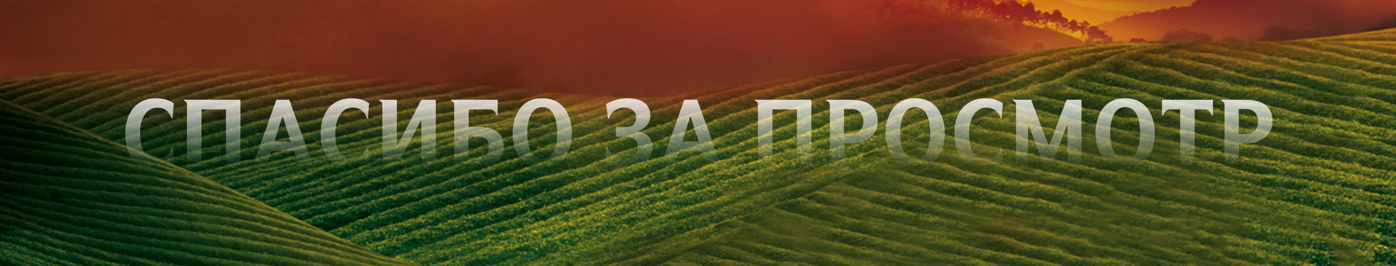 Лисма - корпоративный сайт для чайного бренда — Изображение №7 — Интерфейсы на Dprofile