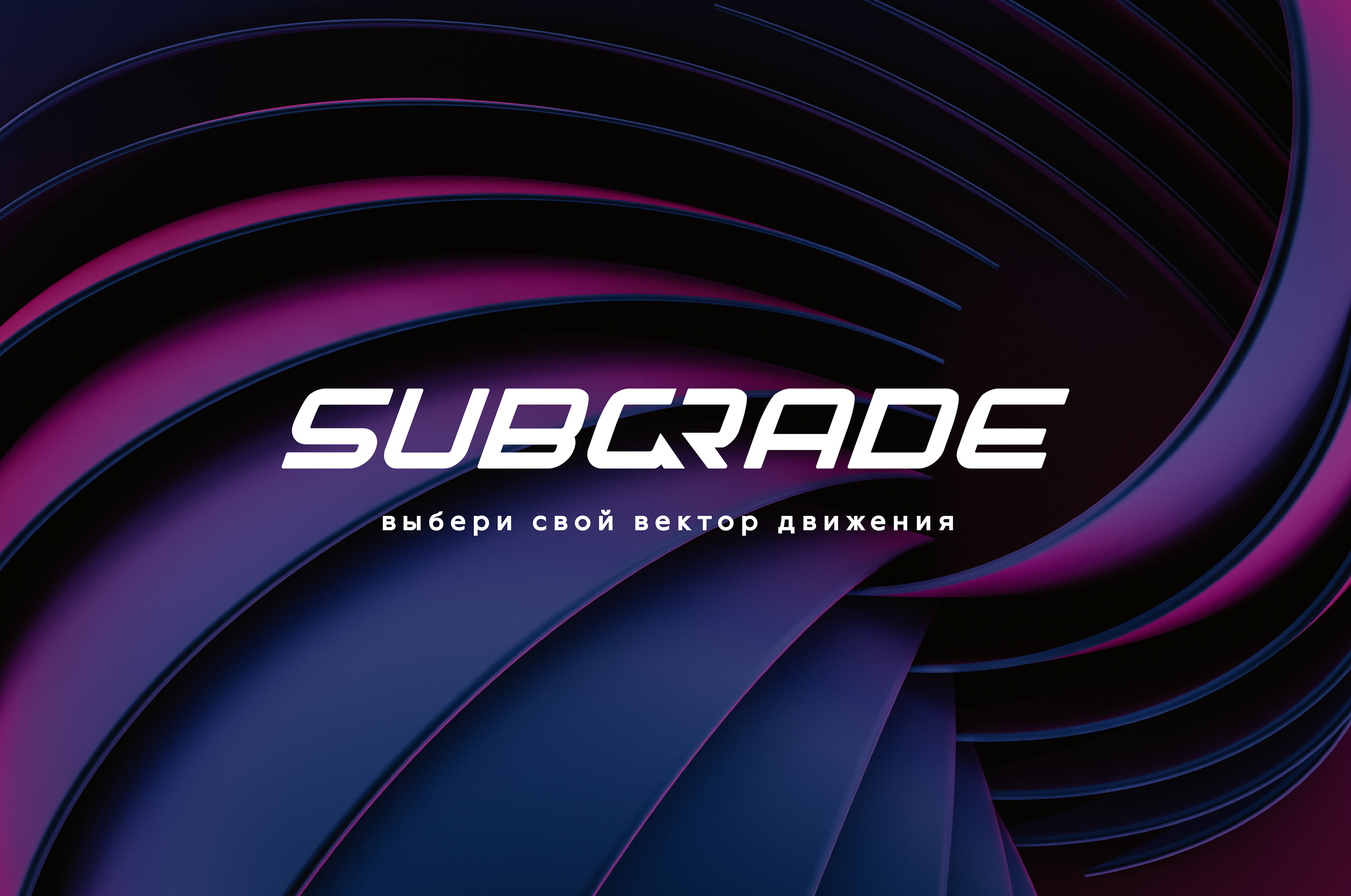 SUBGRADE /Брендинг — Изображение №1 — Брендинг, Графика на Dprofile