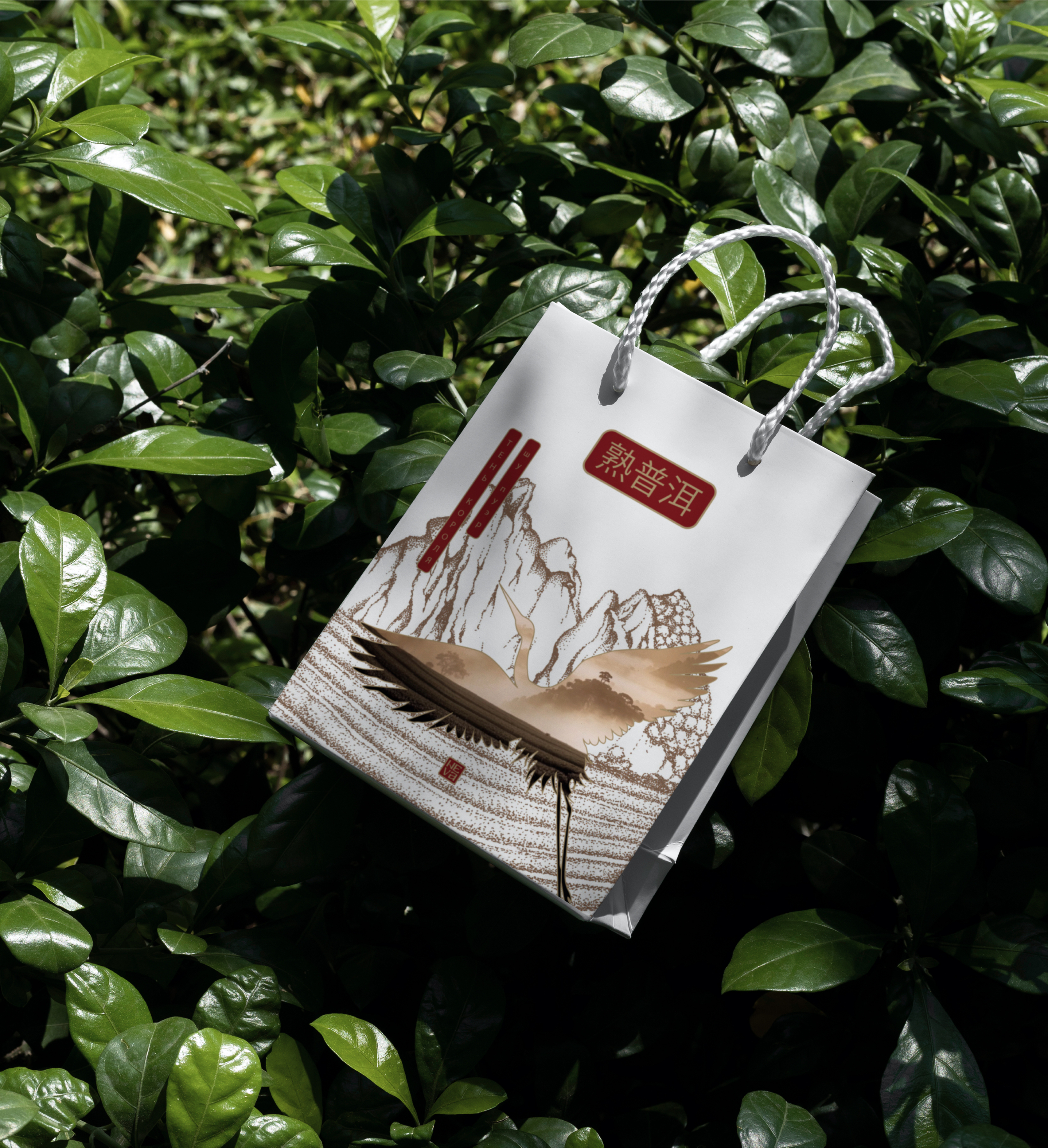 Упаковка чая «Глаз тигра» и «Тень короля» — Изображение №23 — Брендинг, Иллюстрация на Dprofile