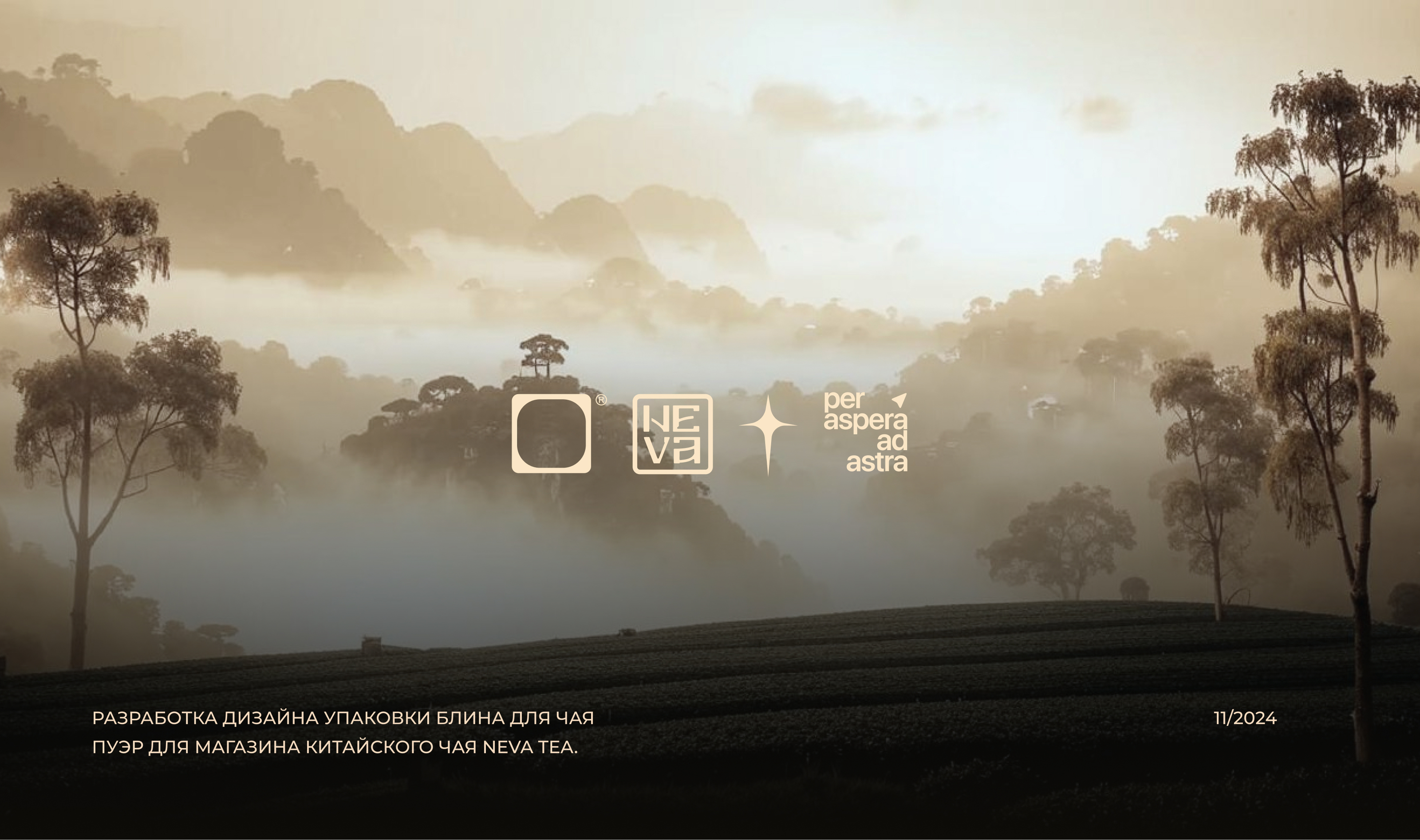 Упаковка чая «Глаз тигра» и «Тень короля» — Изображение №1 — Брендинг, Иллюстрация на Dprofile