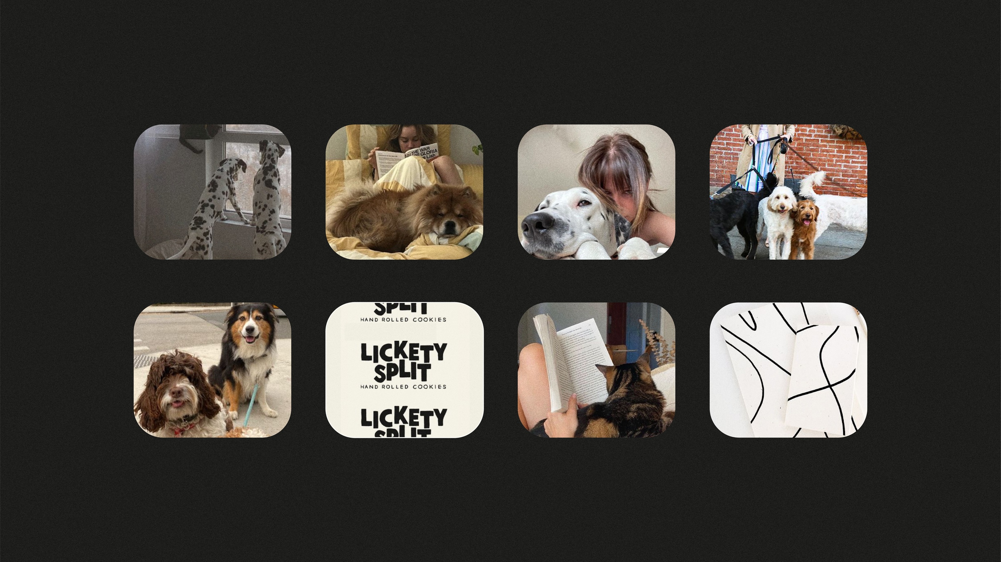 Branding for a pet care service — Изображение №11 — Брендинг, Графика на Dprofile