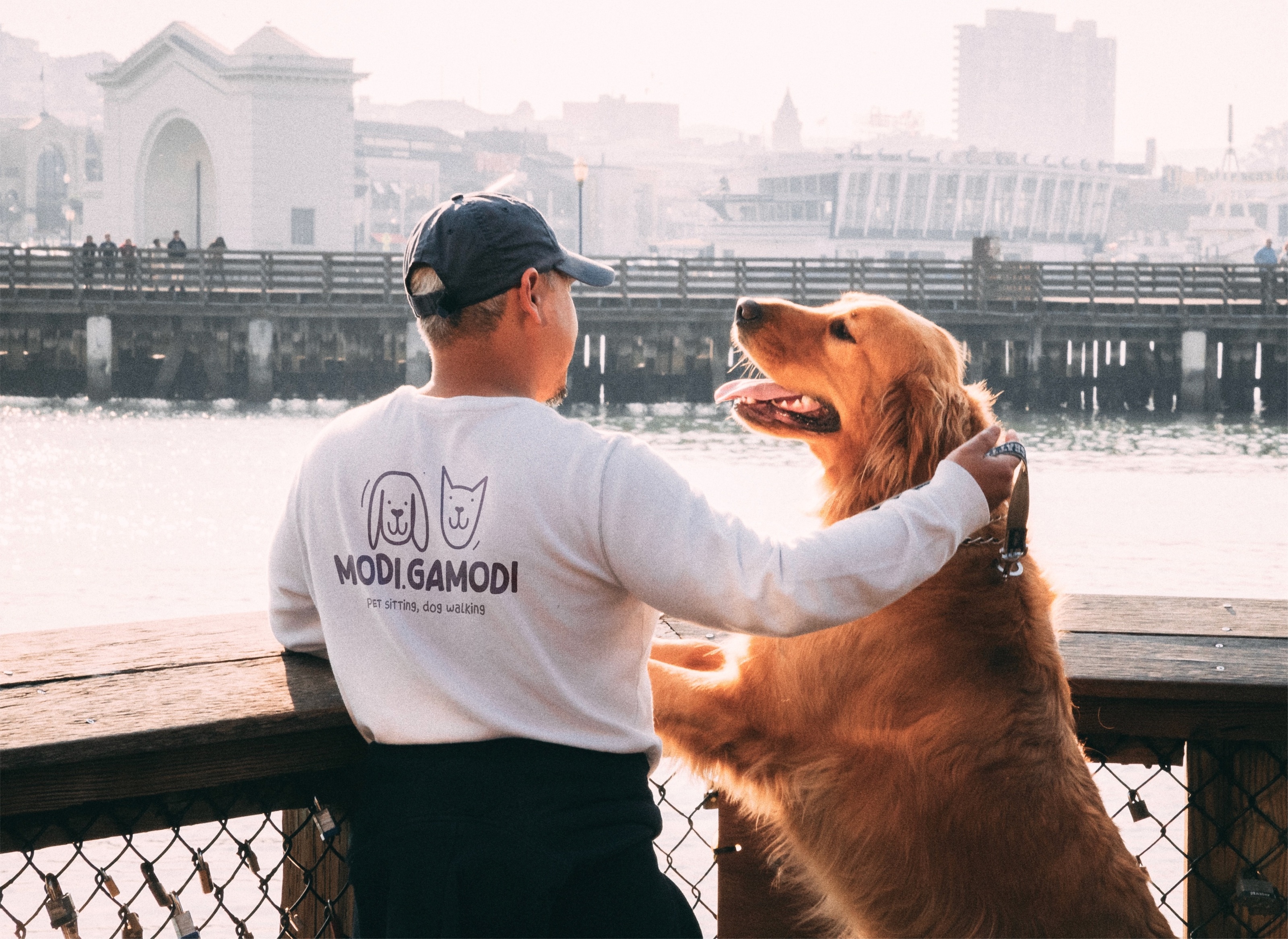Branding for a pet care service — Изображение №3 — Брендинг, Графика на Dprofile
