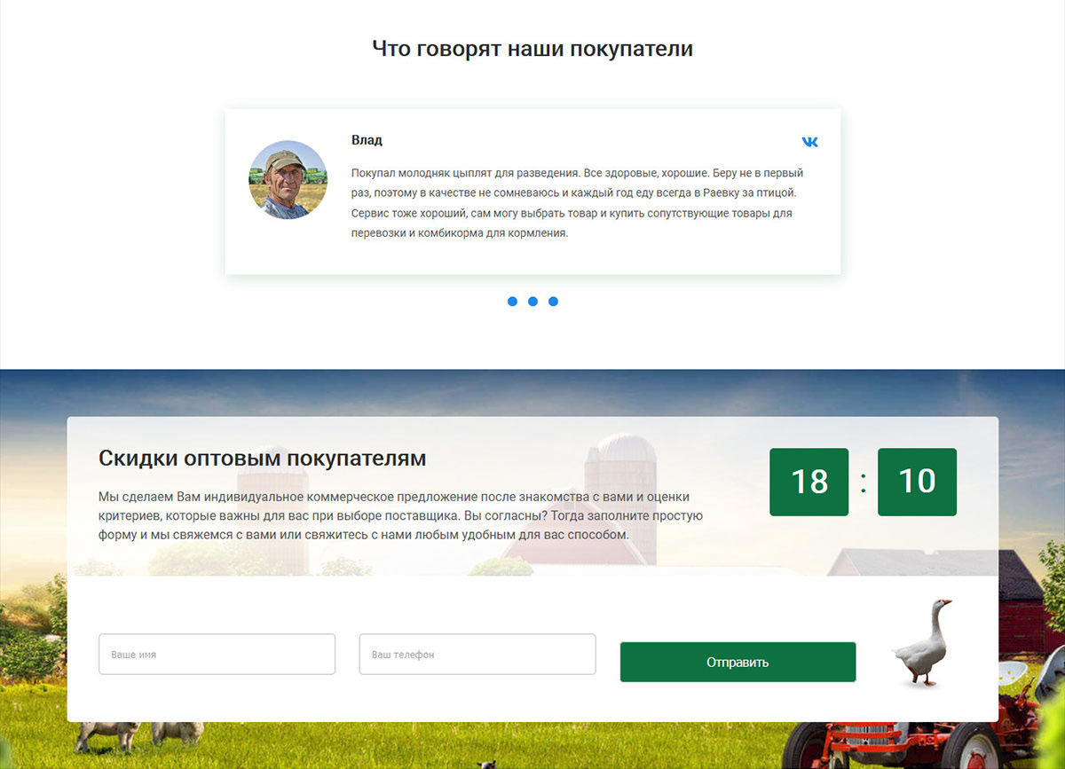 Сайт фермерства, продажа птицы | веб дизайн — Изображение №3 — Иллюстрация, Маркетинг на Dprofile