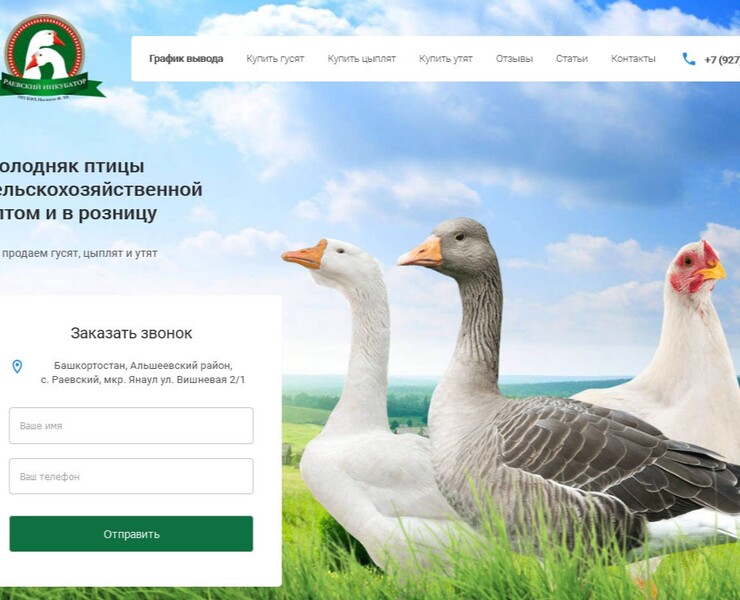 Сайт фермерства, продажа птицы | веб дизайн — Иллюстрация, Маркетинг на Dprofile