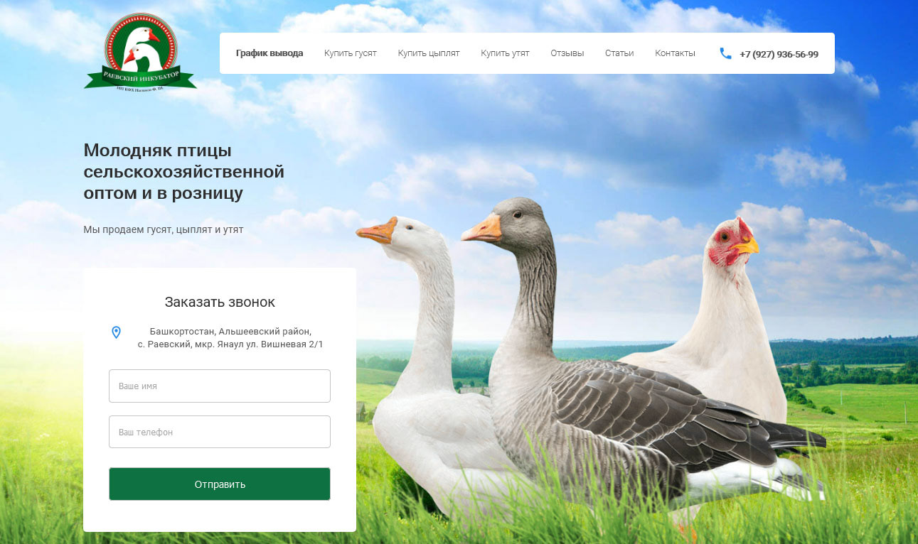 Сайт фермерства, продажа птицы | веб дизайн — Изображение №1 — Иллюстрация, Маркетинг на Dprofile