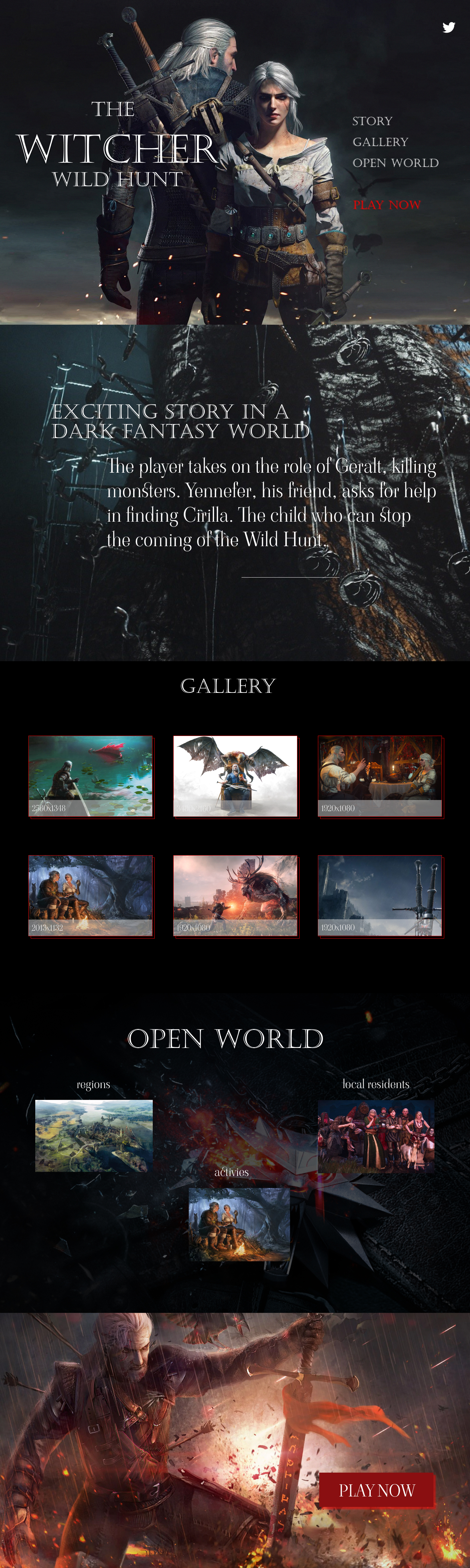 website for game The Withcer wild hunt — Изображение №1 — Брендинг, Интерфейсы на Dprofile