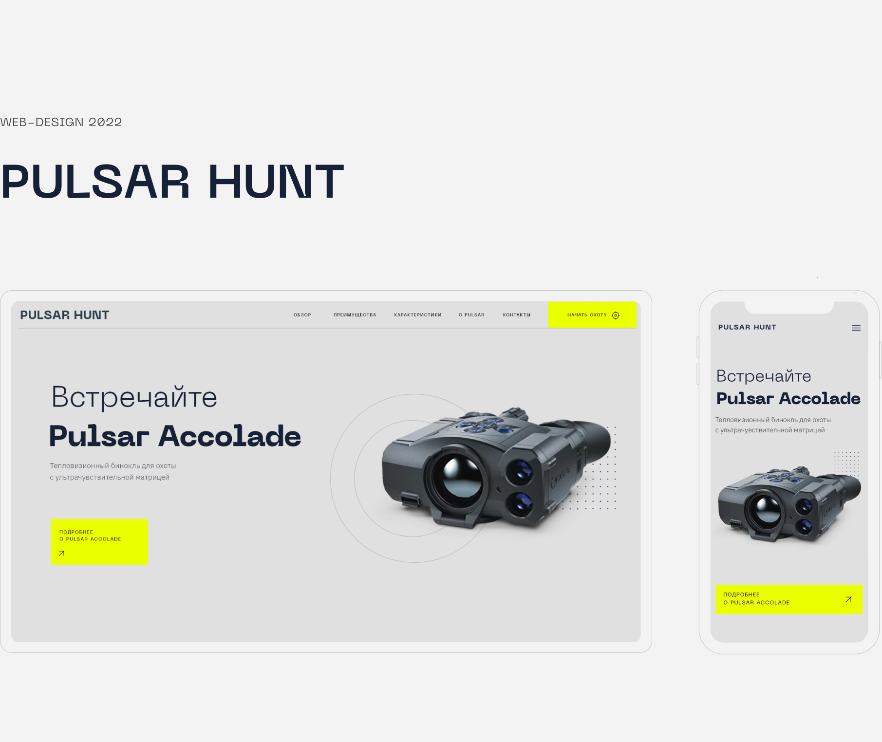 Pulsar Hunt Webdesign — Изображение №1 — Анимация, Интерфейсы на Dprofile