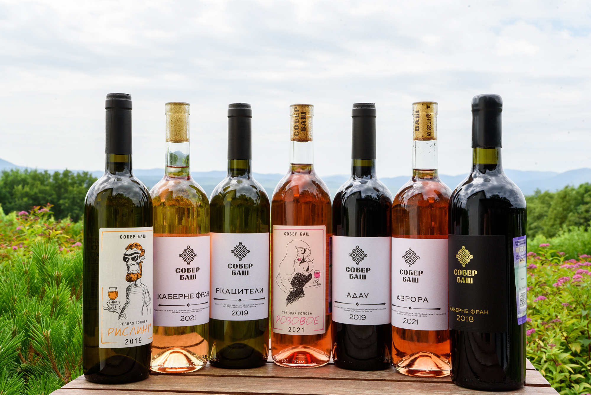 СОБЕР БАШ — Изображение №5 — Брендинг, Графика на Dprofile