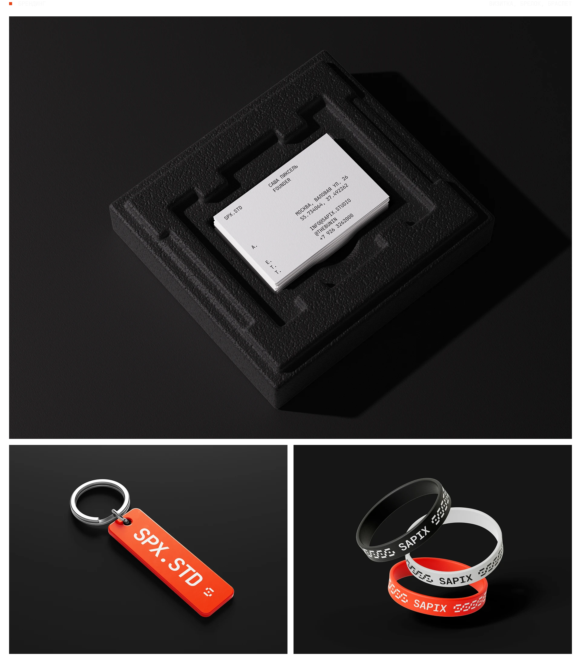 SAPIX STUDIO — Изображение №4 — Интерфейсы, Брендинг на Dprofile