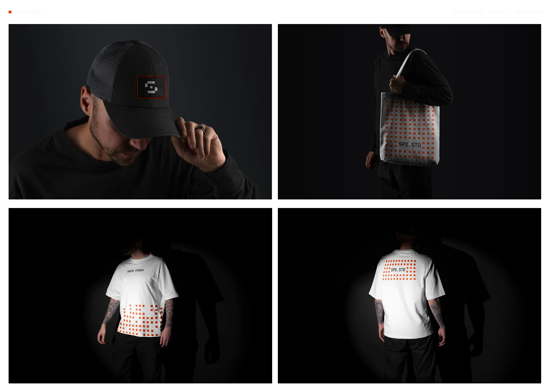 SAPIX STUDIO — Изображение №8 — Интерфейсы, Брендинг на Dprofile