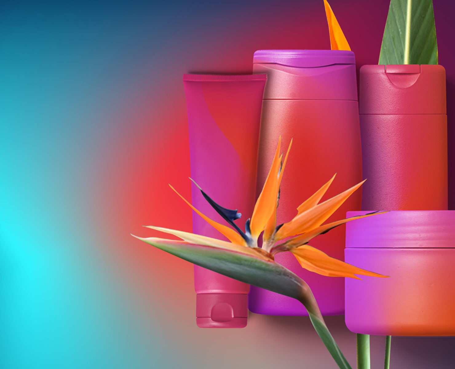 Banners — Графика на Dprofile