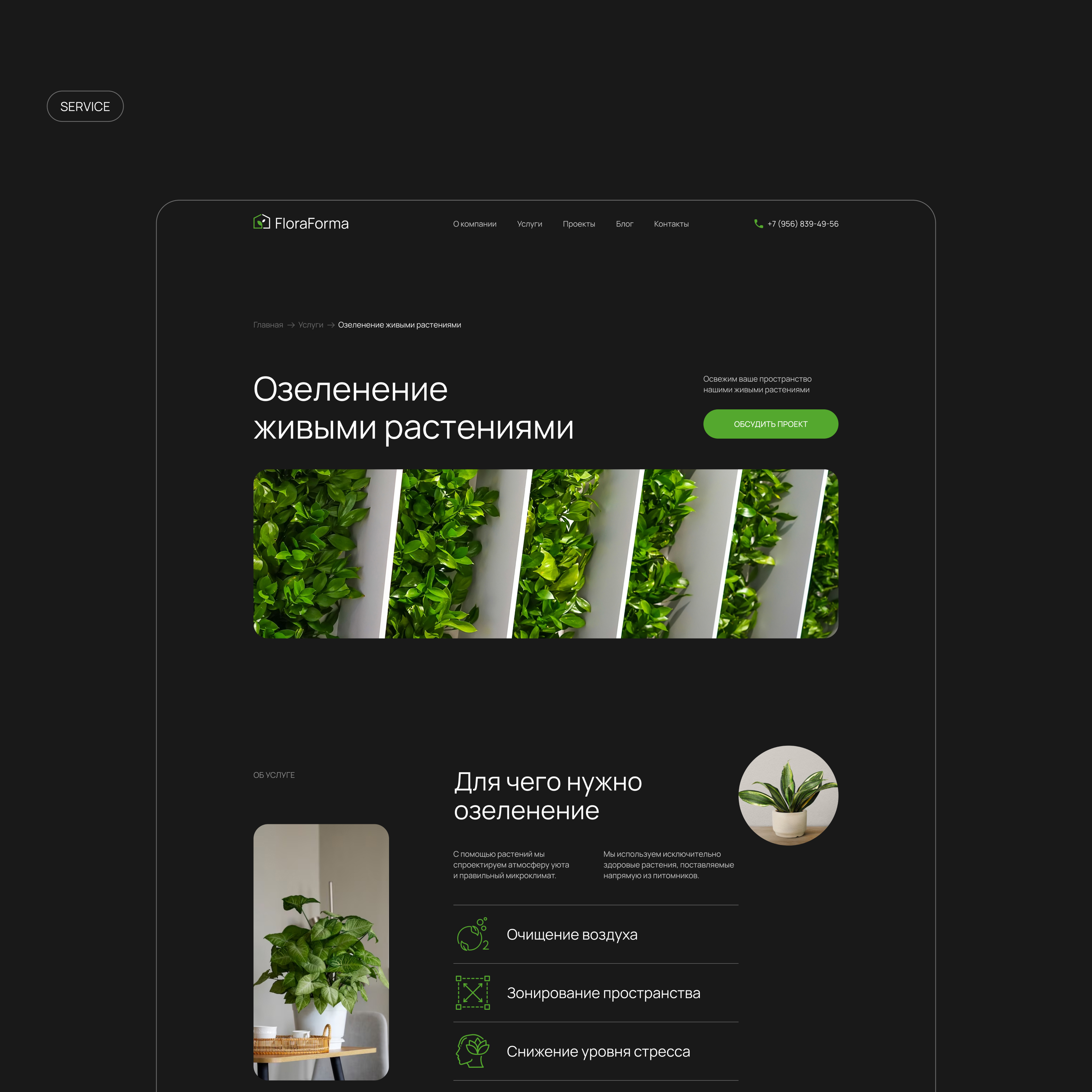 Phytodesign studio | Corporate website — Изображение №10 — Интерфейсы на Dprofile