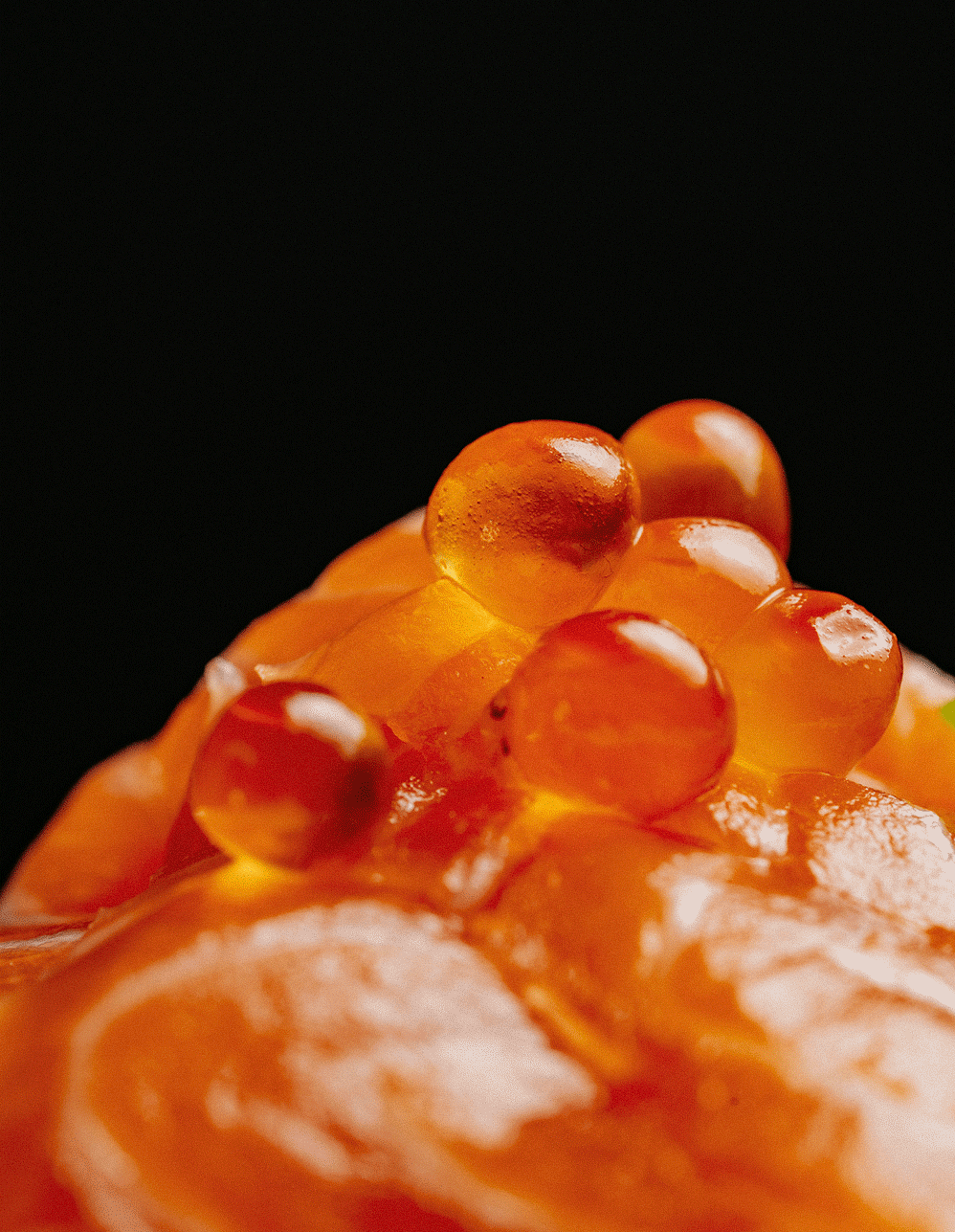 Океан — Изображение №4 — Иллюстрация, Анимация на Dprofile