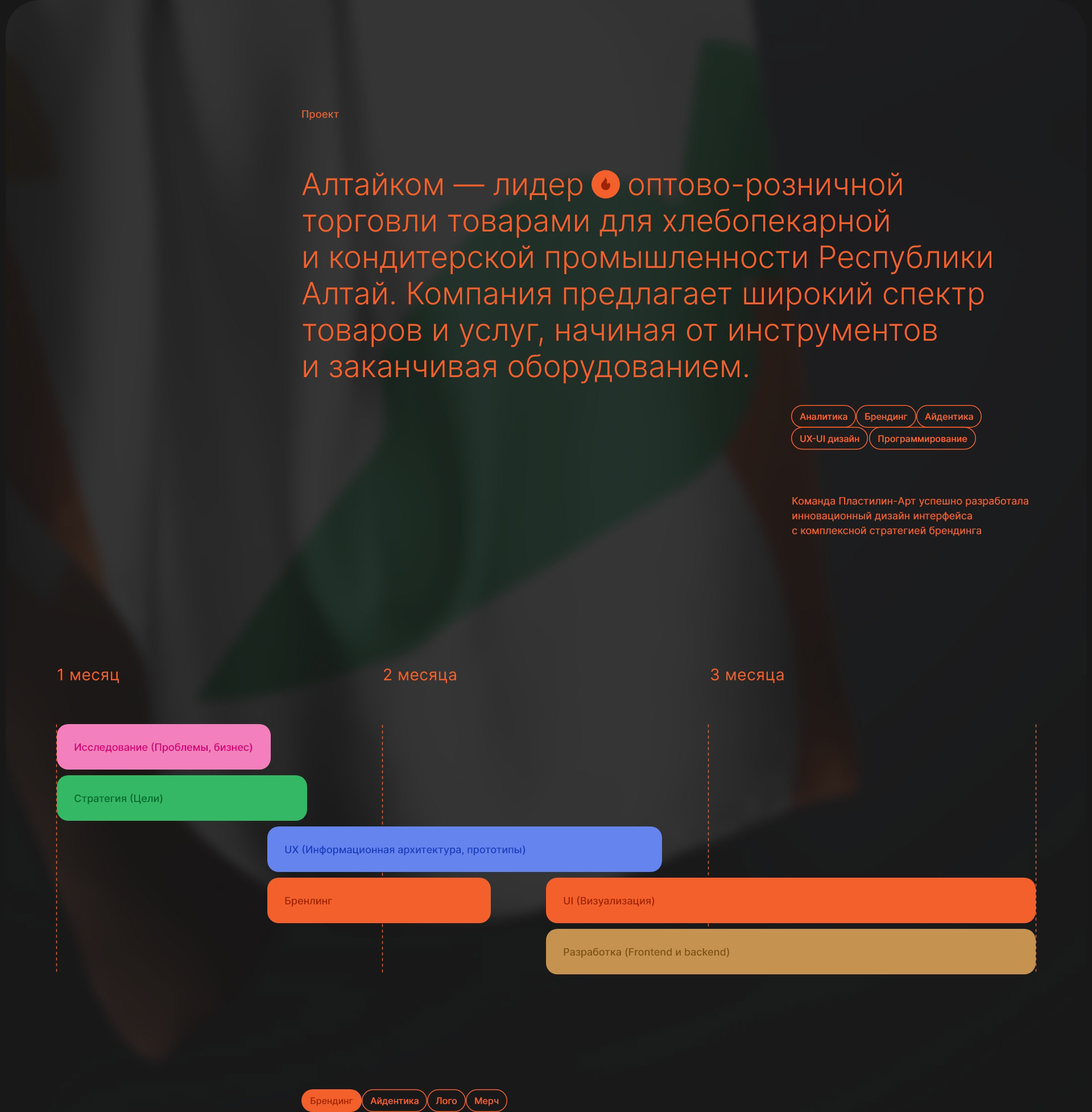 Алтайком. Интернет-магазин — Изображение №3 — Интерфейсы, Брендинг на Dprofile