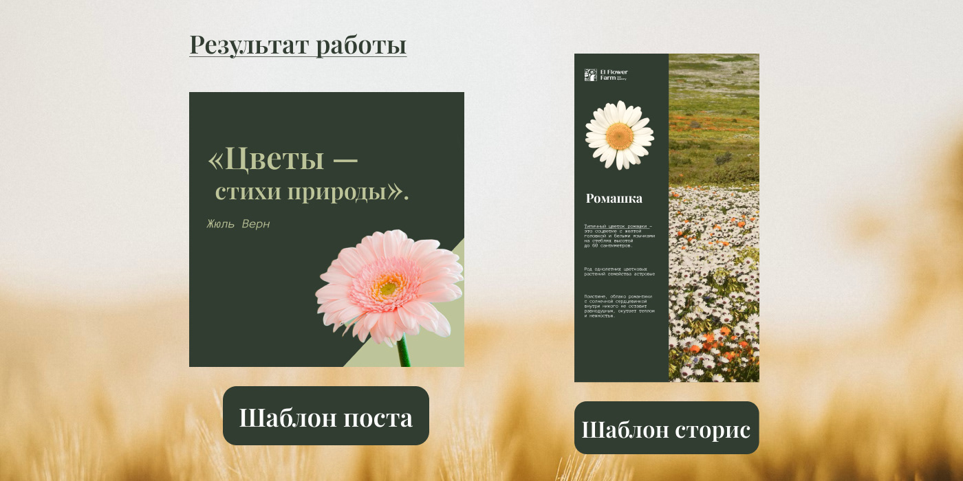 El Flower Farm Баннеры для цветочной фермы — Изображение №5 — Брендинг на Dprofile