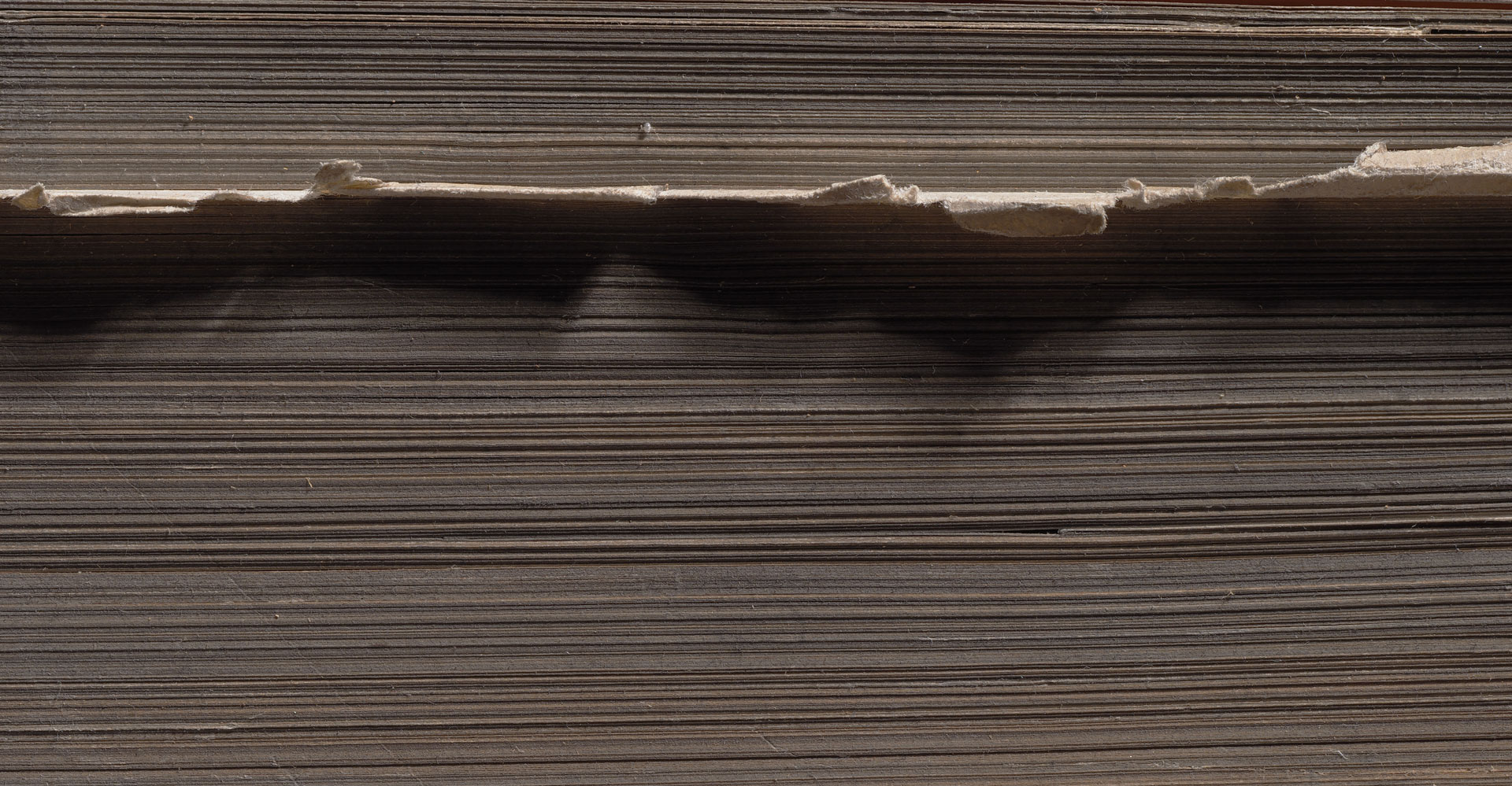 Libri (книги- лат) — Изображение №2 — Иллюстрация, Графика на Dprofile