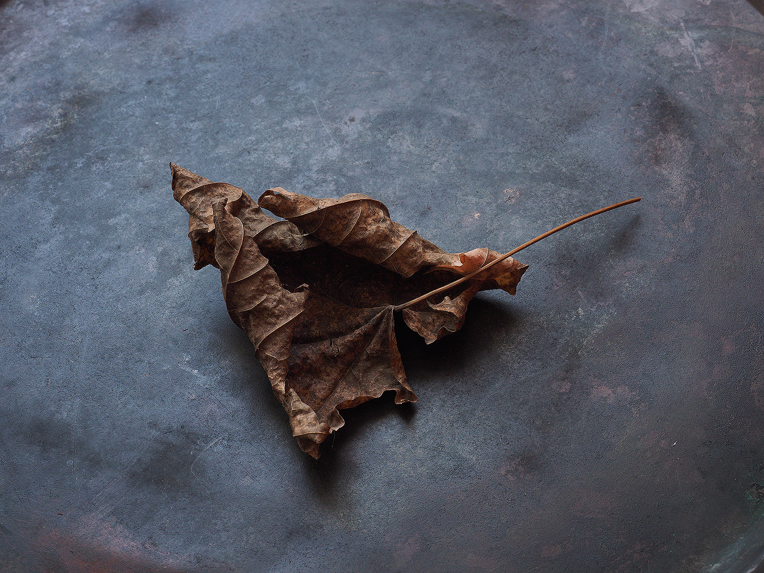 Tango. — Изображение №3 — Иллюстрация, Графика на Dprofile