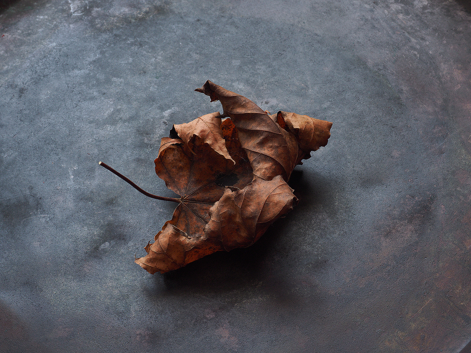 Tango. — Изображение №6 — Иллюстрация, Графика на Dprofile