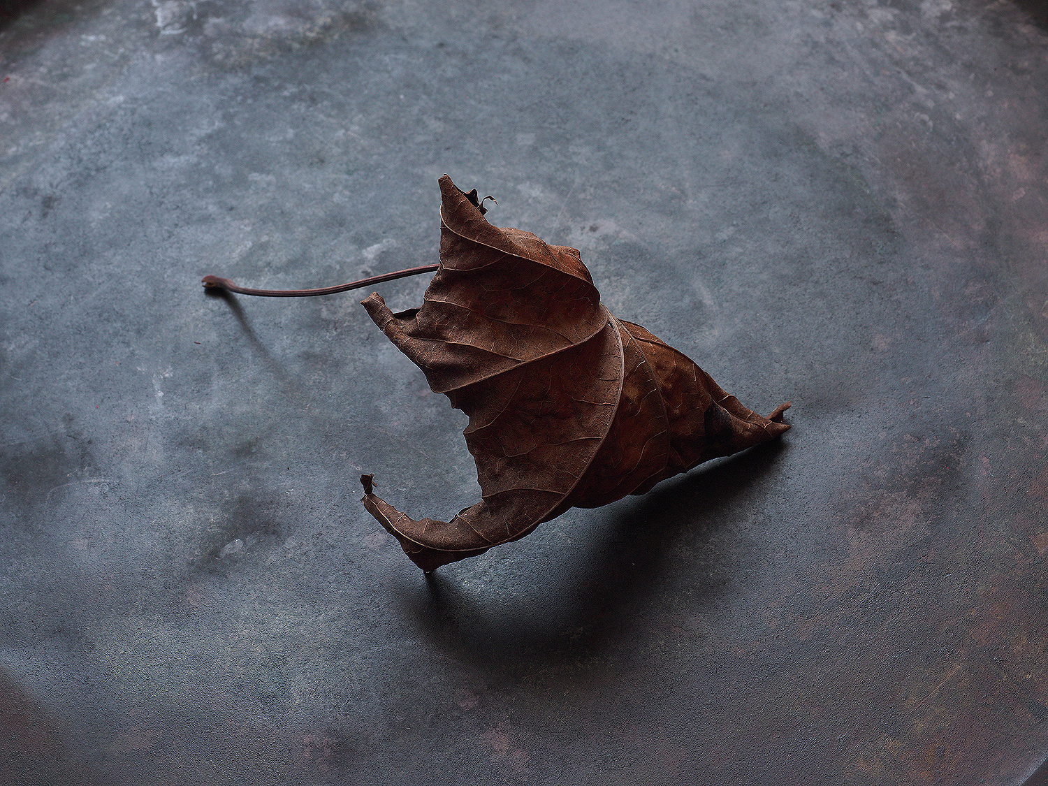 Tango. — Изображение №1 — Иллюстрация, Графика на Dprofile