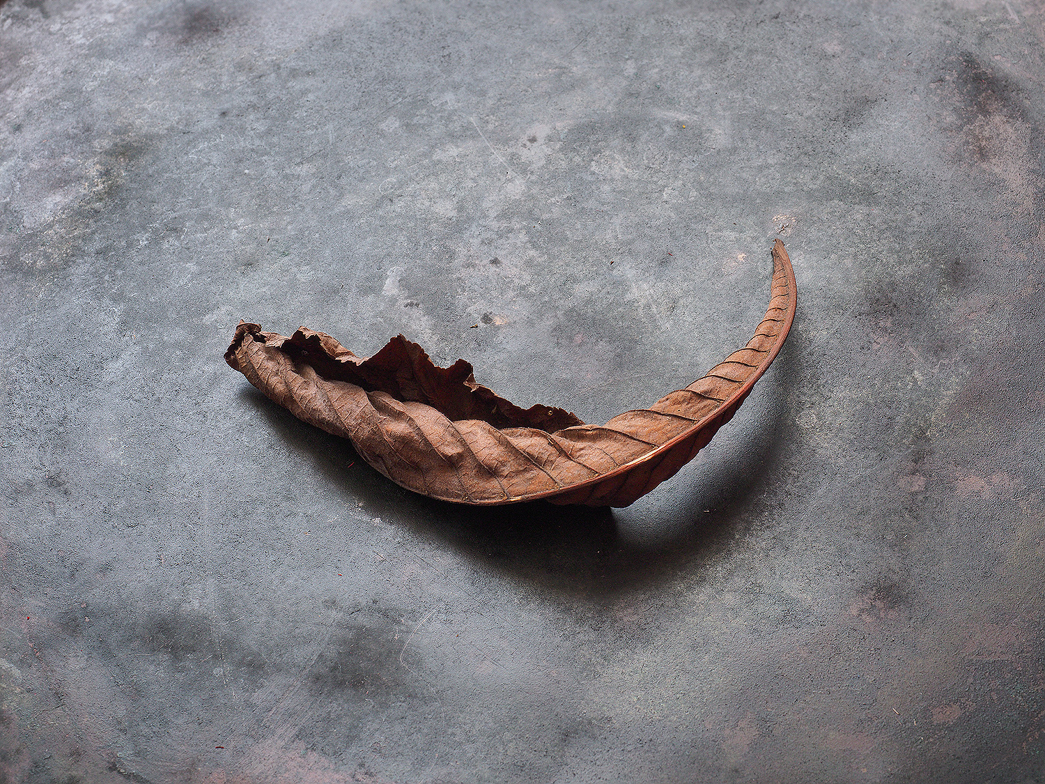 Tango. — Изображение №7 — Иллюстрация, Графика на Dprofile