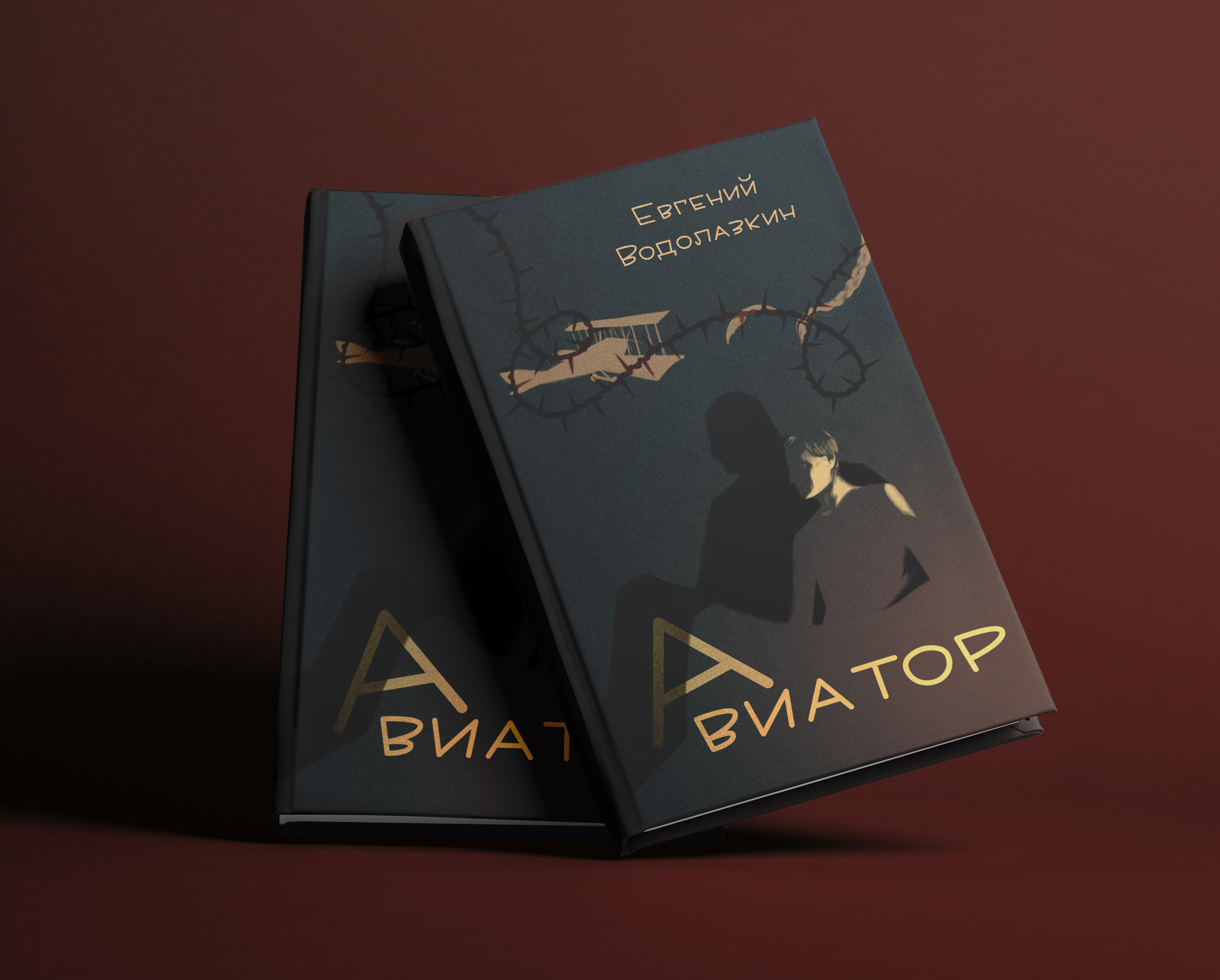 Обложка книги "Авиатор" Евгения Водолазкина — Изображение №2 — Иллюстрация на Dprofile