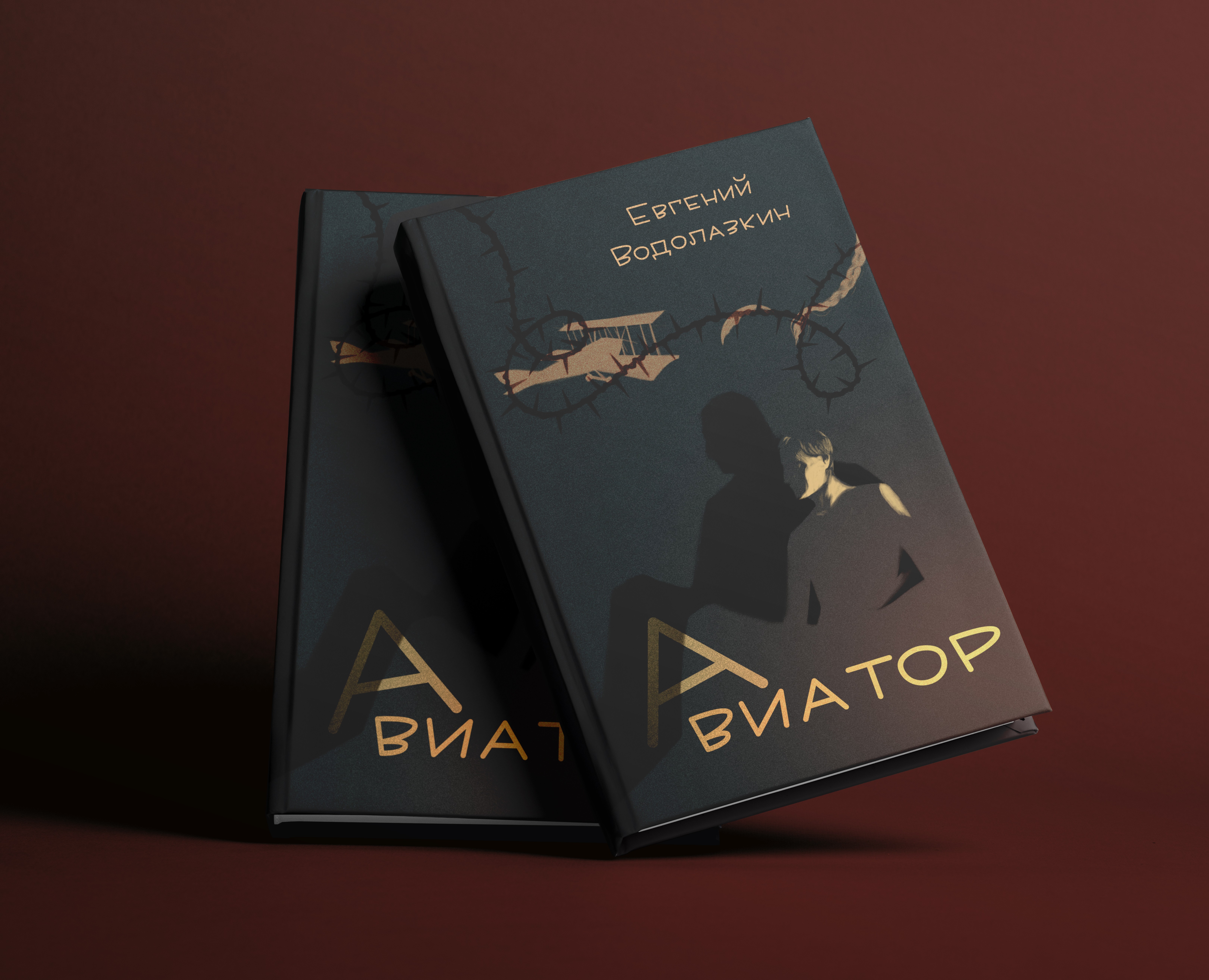 Обложка книги "Авиатор" Евгения Водолазкина — Иллюстрация на Dprofile