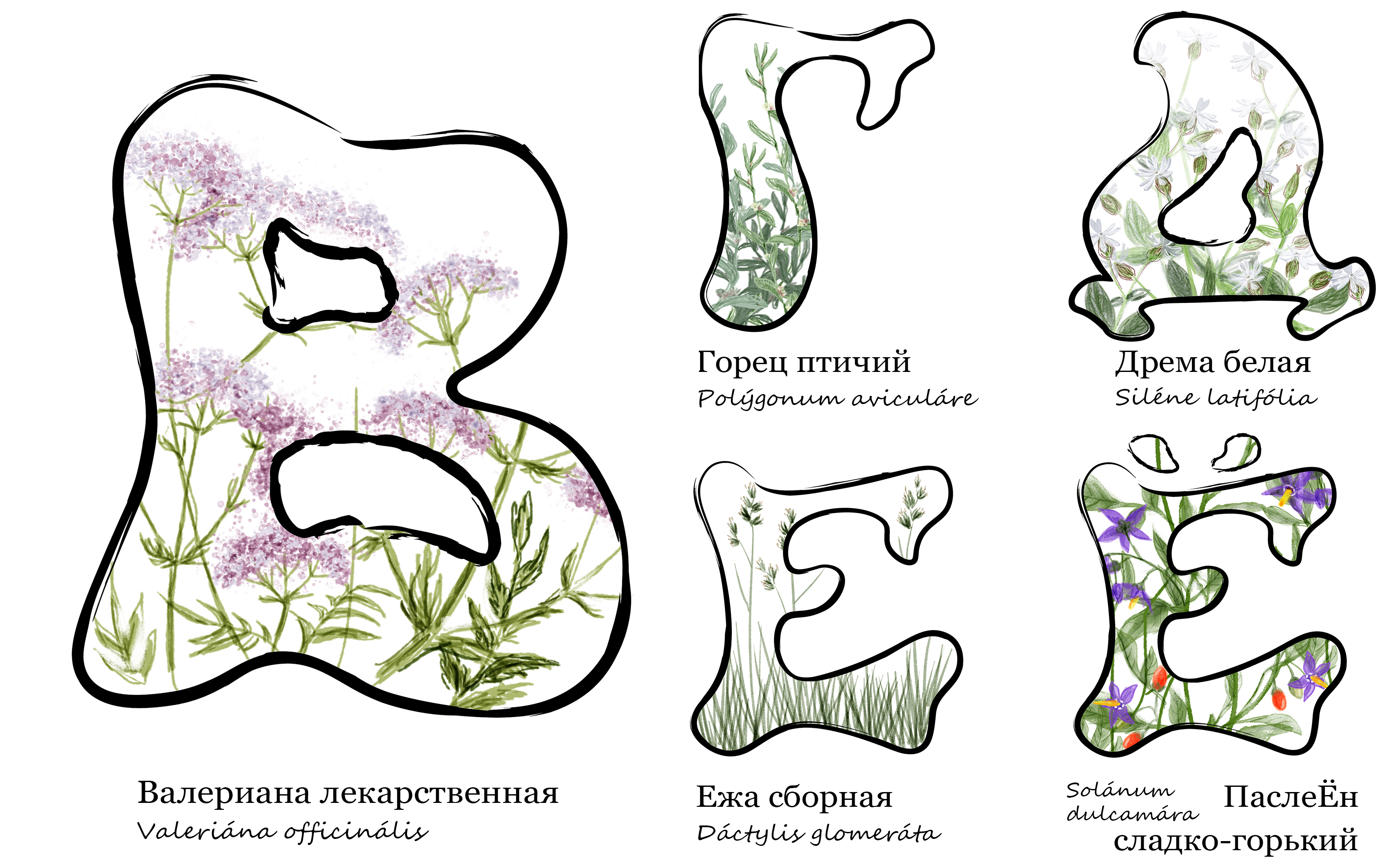 Азбука под ногами — Изображение №4 — Иллюстрация, Графика на Dprofile