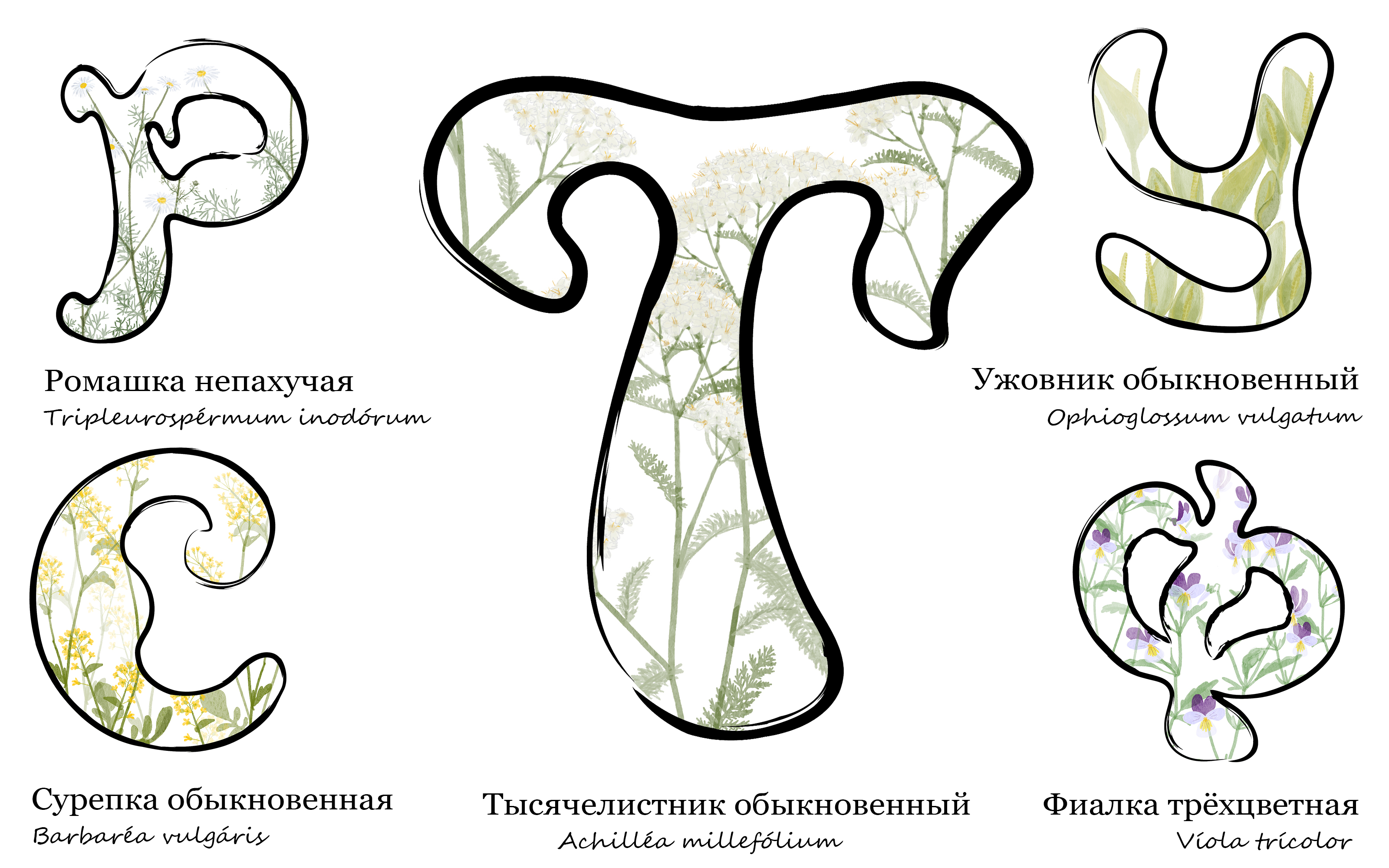 Азбука под ногами — Изображение №7 — Иллюстрация, Графика на Dprofile
