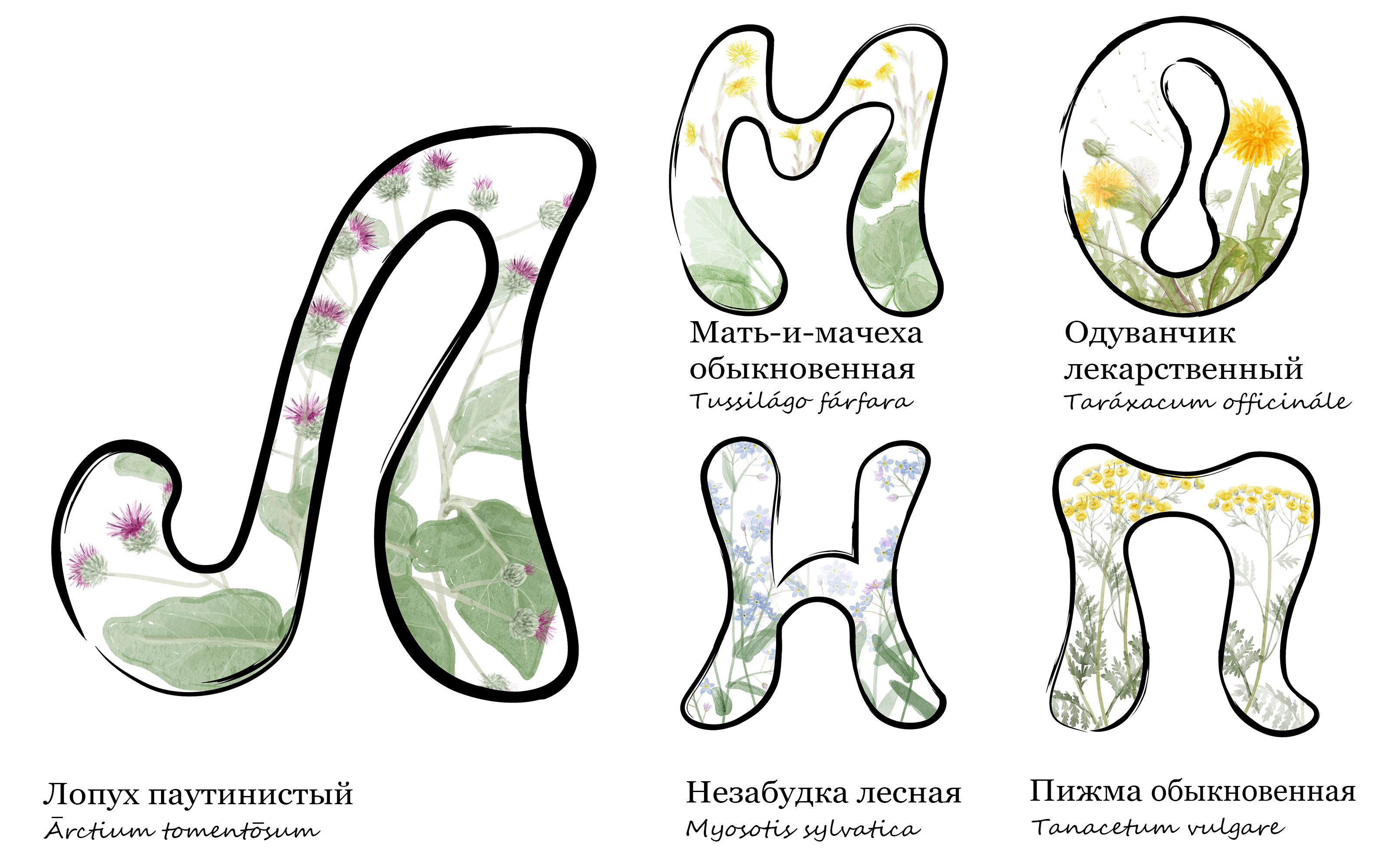 Азбука под ногами — Изображение №6 — Иллюстрация, Графика на Dprofile