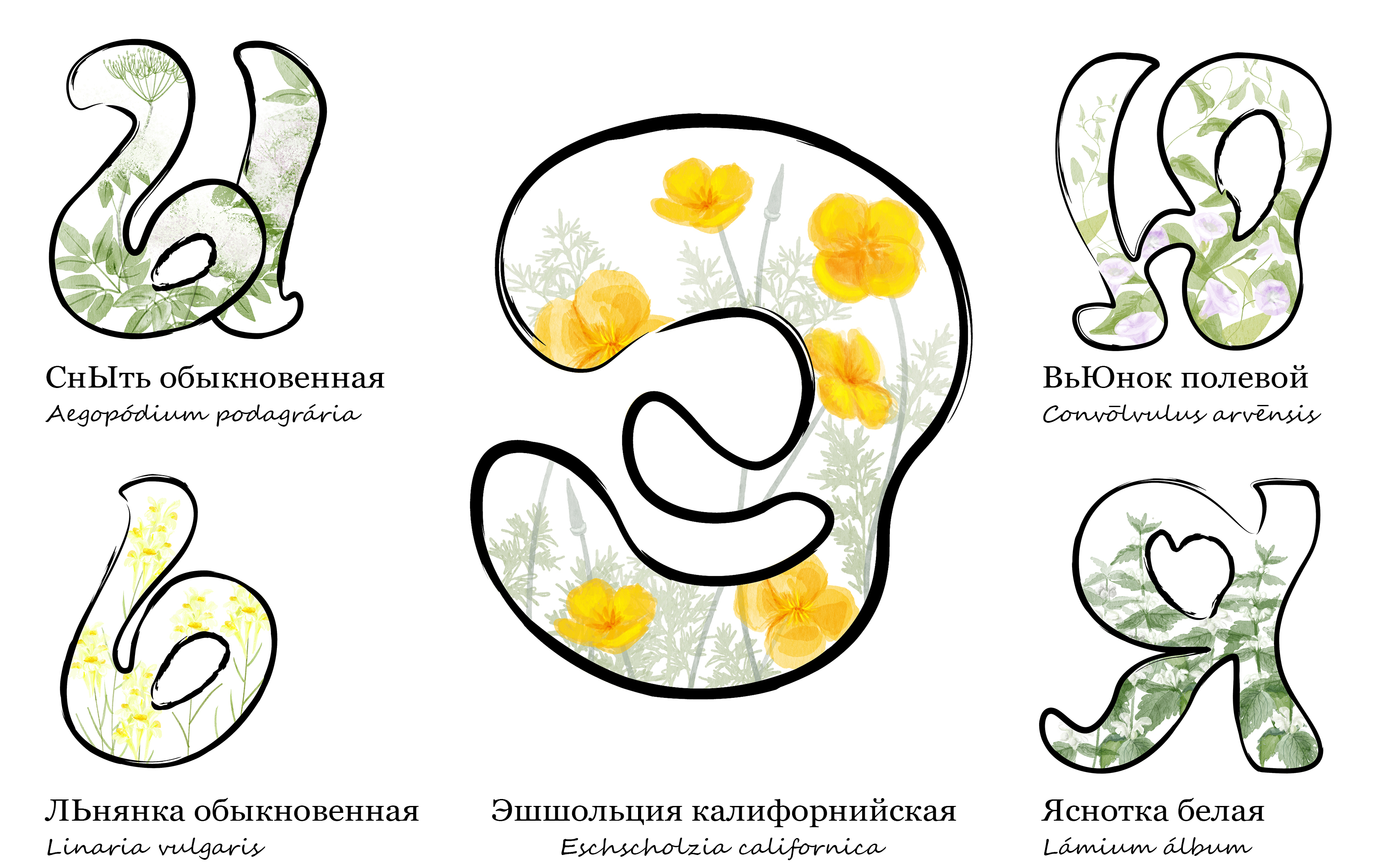 Азбука под ногами — Изображение №9 — Иллюстрация, Графика на Dprofile
