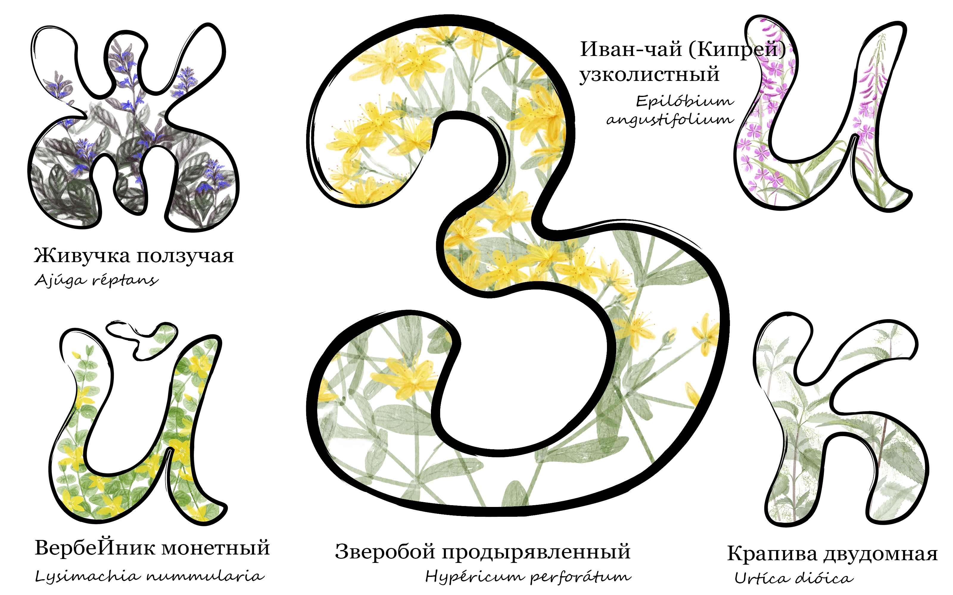 Азбука под ногами — Изображение №5 — Иллюстрация, Графика на Dprofile