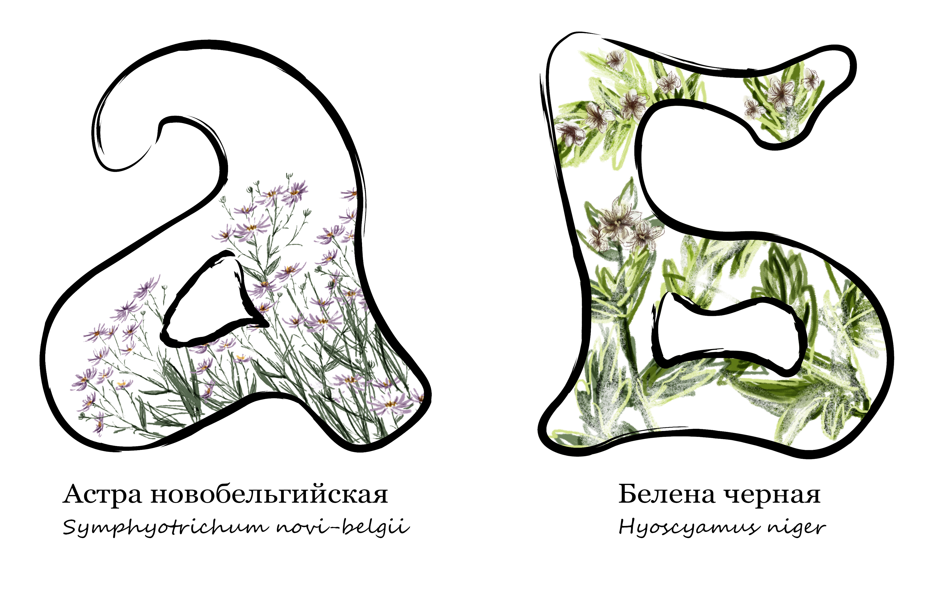 Азбука под ногами — Изображение №3 — Иллюстрация, Графика на Dprofile
