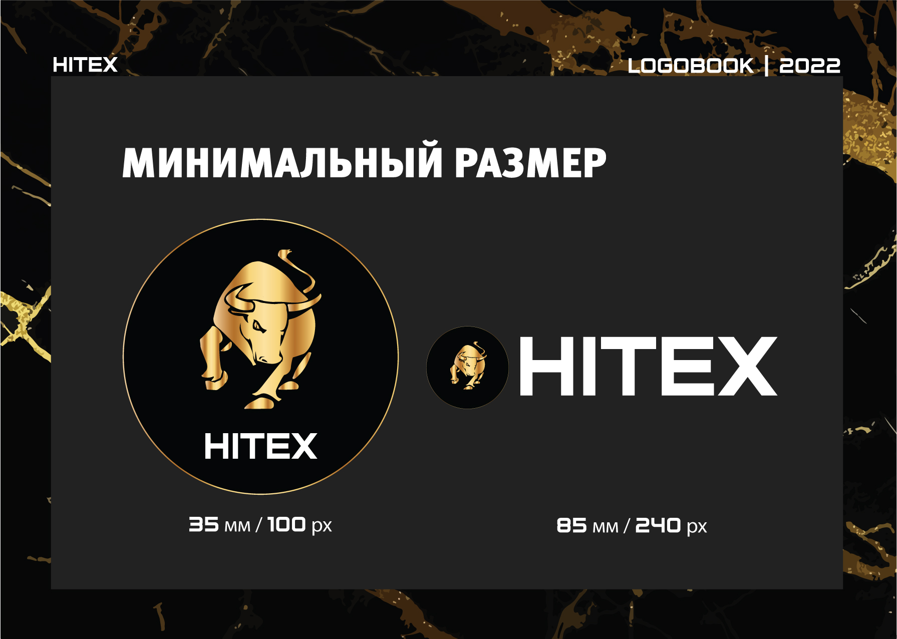 HITEX Logo & Logobook — Изображение №7 — Брендинг, Графика на Dprofile