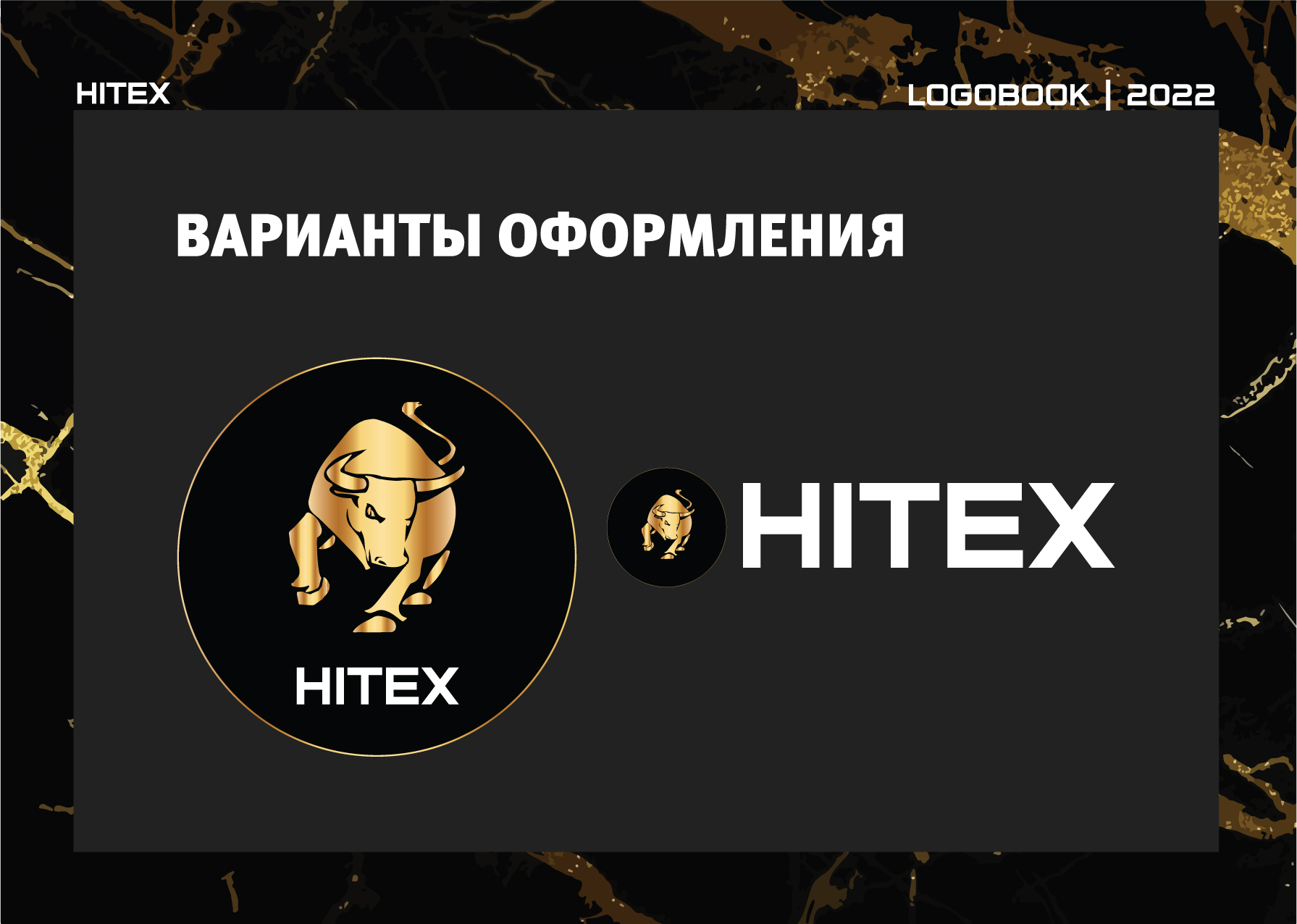 HITEX Logo & Logobook — Изображение №3 — Брендинг, Графика на Dprofile