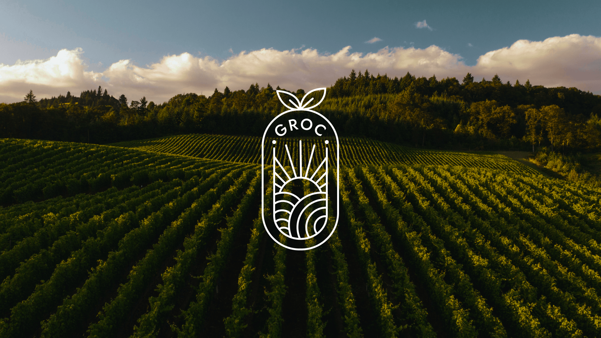 GROC | Агрохолдинг — Изображение №1 — Брендинг, Графика на Dprofile