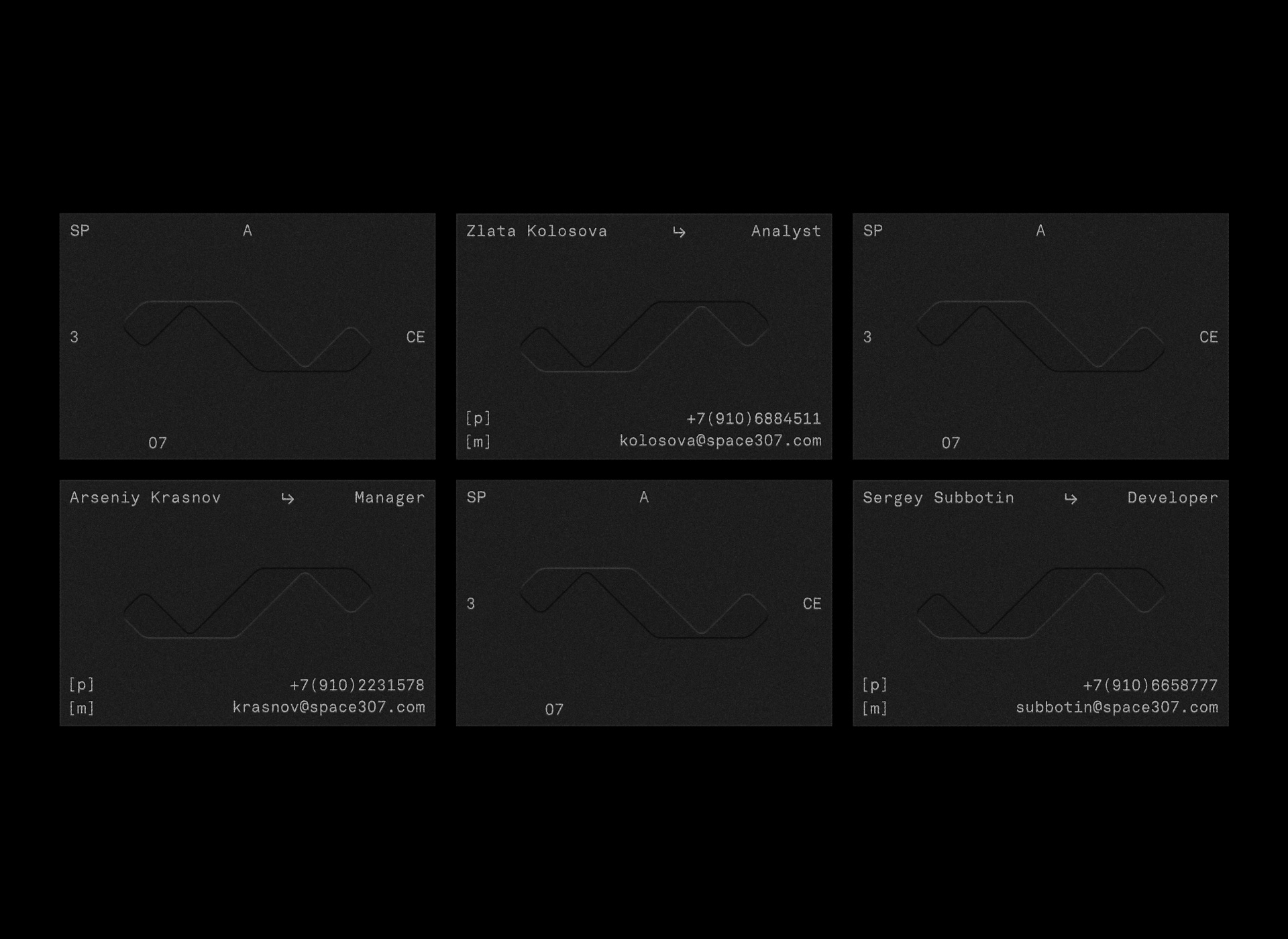Space 307 / Продуктовая IT-компания — Изображение №5 — Брендинг на Dprofile