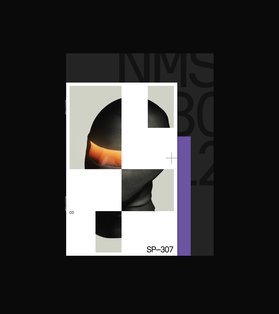 Space 307 / Продуктовая IT-компания — Изображение №6 — Брендинг на Dprofile