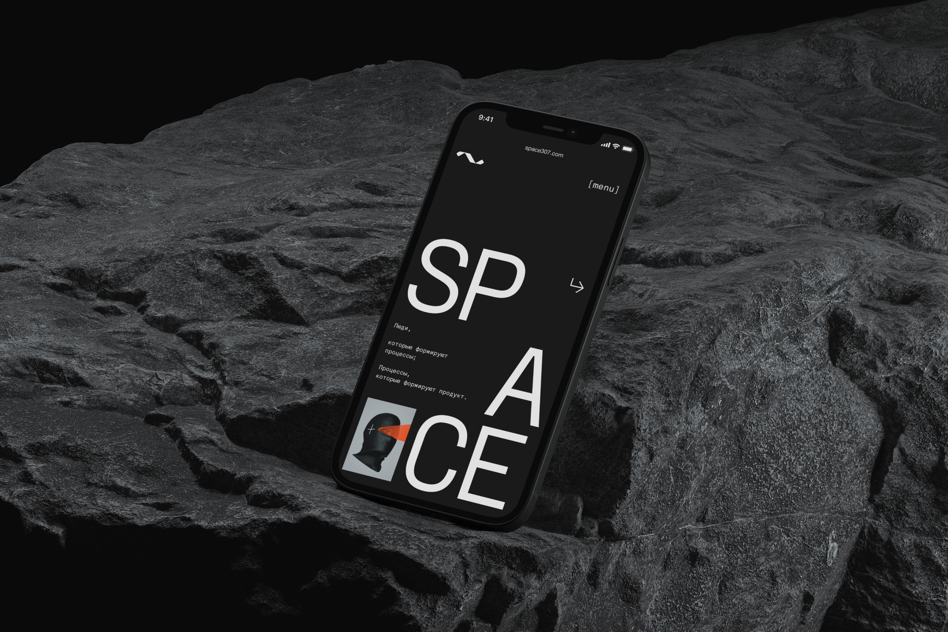 Space 307 / Продуктовая IT-компания — Изображение №14 — Брендинг на Dprofile