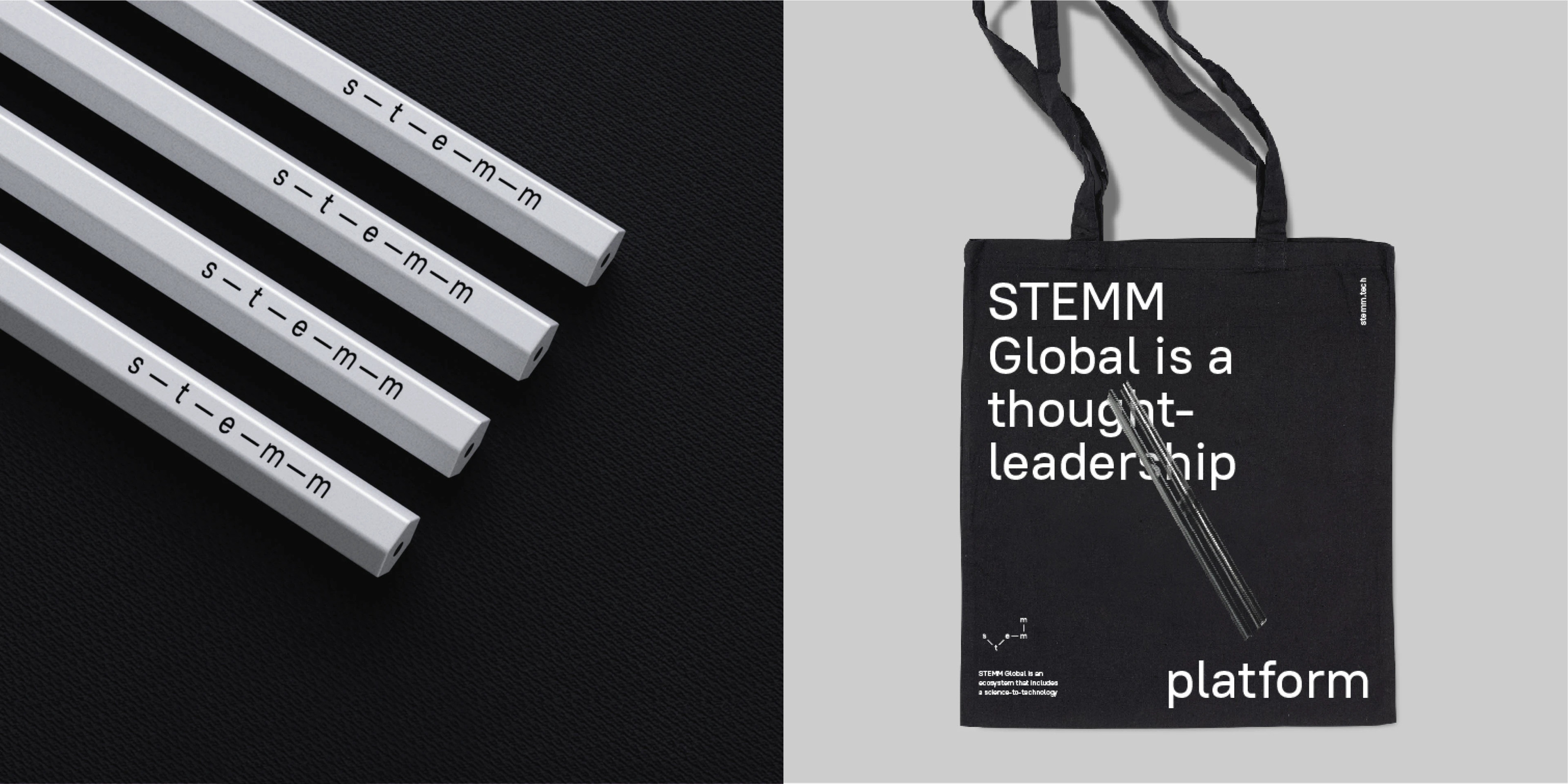 Брендинг для STEMM Global — Изображение №3 — Брендинг на Dprofile