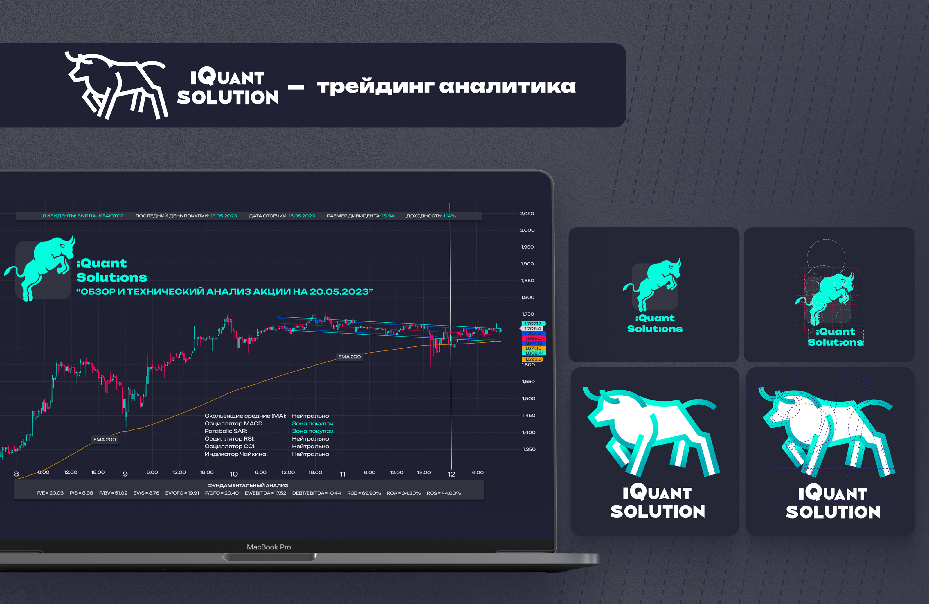 Portfolio 2023 — Изображение №4 — Брендинг на Dprofile