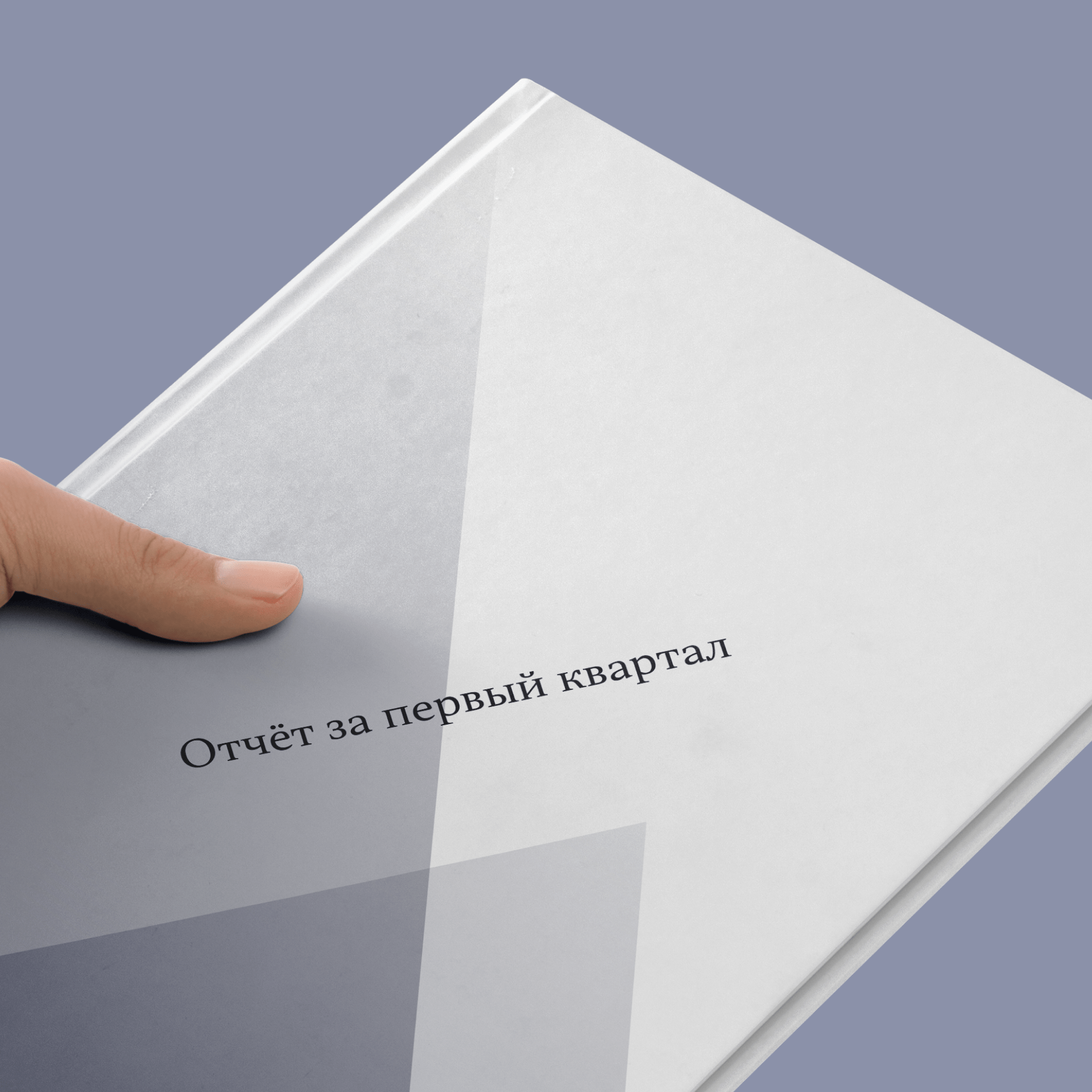 Счетная палата РФ, aйдентика и сайт ведомства — Изображение №14 — Интерфейсы, Брендинг на Dprofile