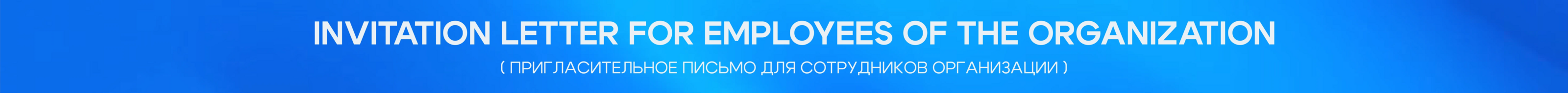 "9535" FESTIVE IDENTITY — Изображение №3 — Брендинг на Dprofile