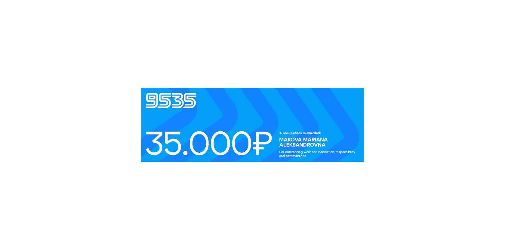 "9535" FESTIVE IDENTITY — Изображение №17 — Брендинг на Dprofile