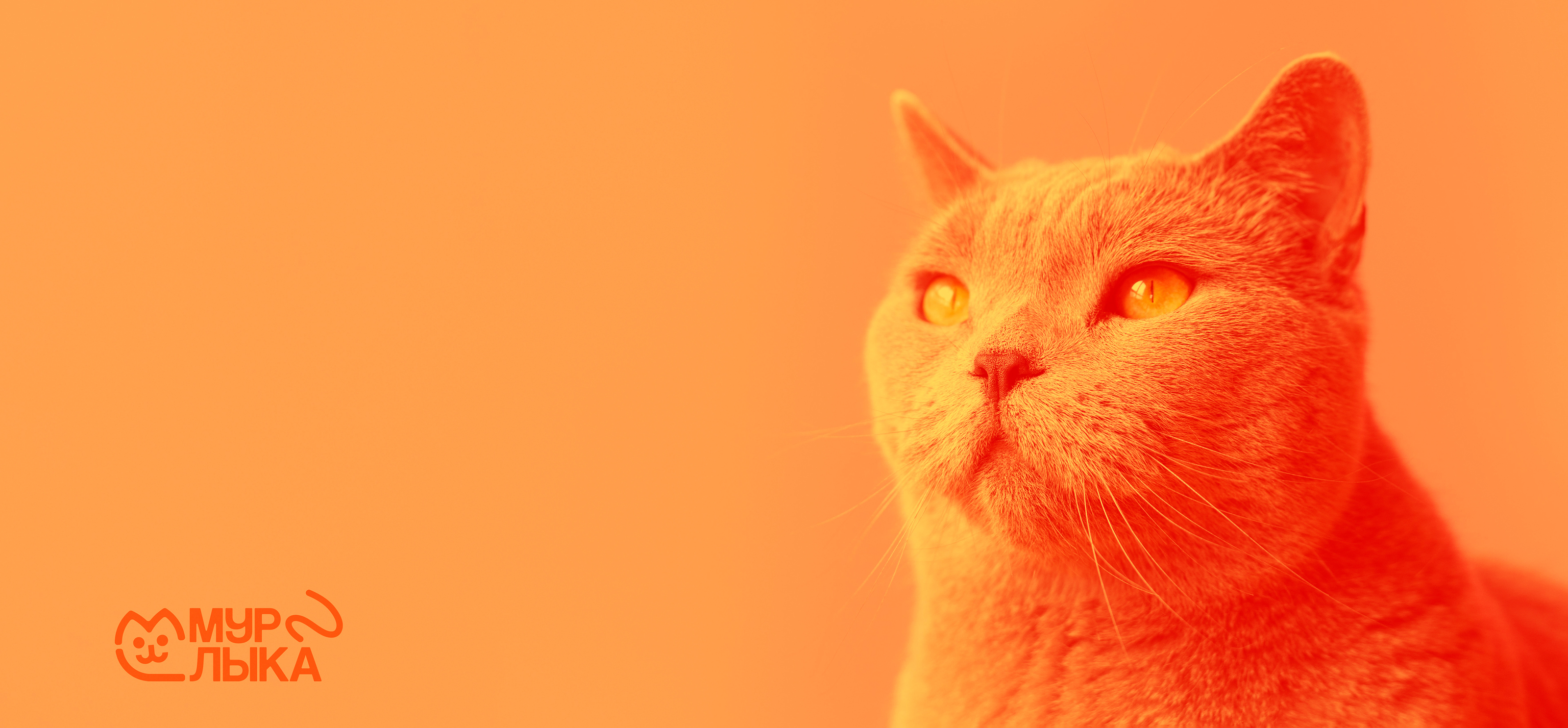 Logotype "MURLYKA" hotel for cats — Изображение №1 — Брендинг на Dprofile
